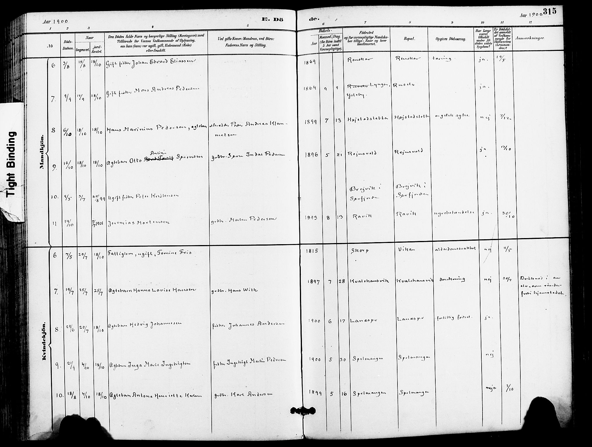 Karlsøy sokneprestembete, AV/SATØ-S-1299/H/Ha/Haa/L0007kirke: Parish register (official) no. 7, 1891-1902, p. 315