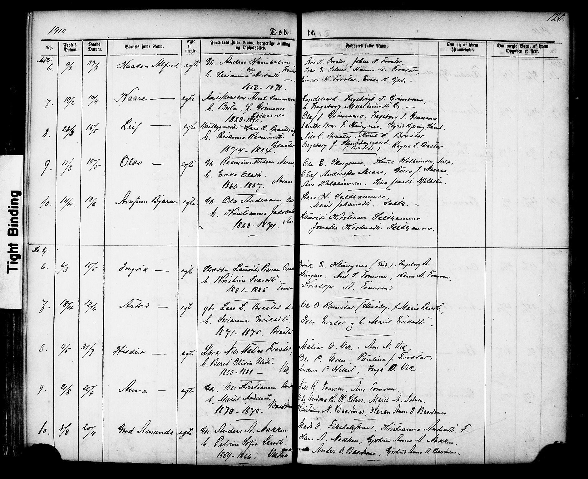 Ministerialprotokoller, klokkerbøker og fødselsregistre - Møre og Romsdal, AV/SAT-A-1454/539/L0536: Parish register (copy) no. 539C02, 1867-1913, p. 120