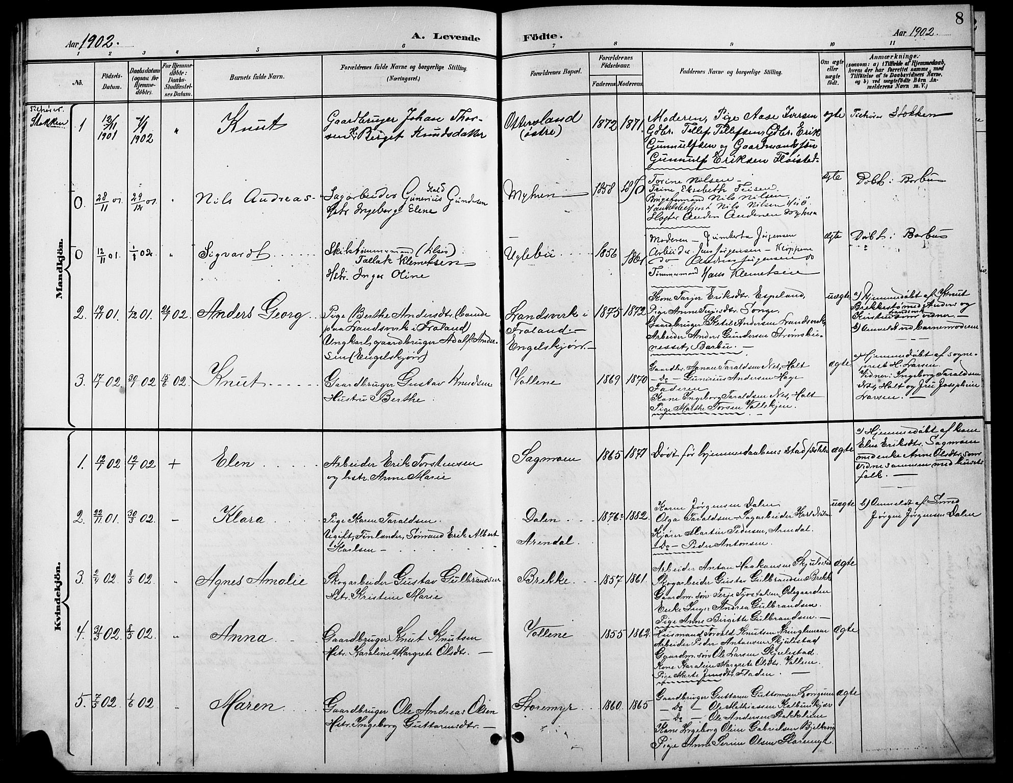 Austre Moland sokneprestkontor, AV/SAK-1111-0001/F/Fb/Fba/L0004: Parish register (copy) no. B 4a, 1897-1913, p. 8