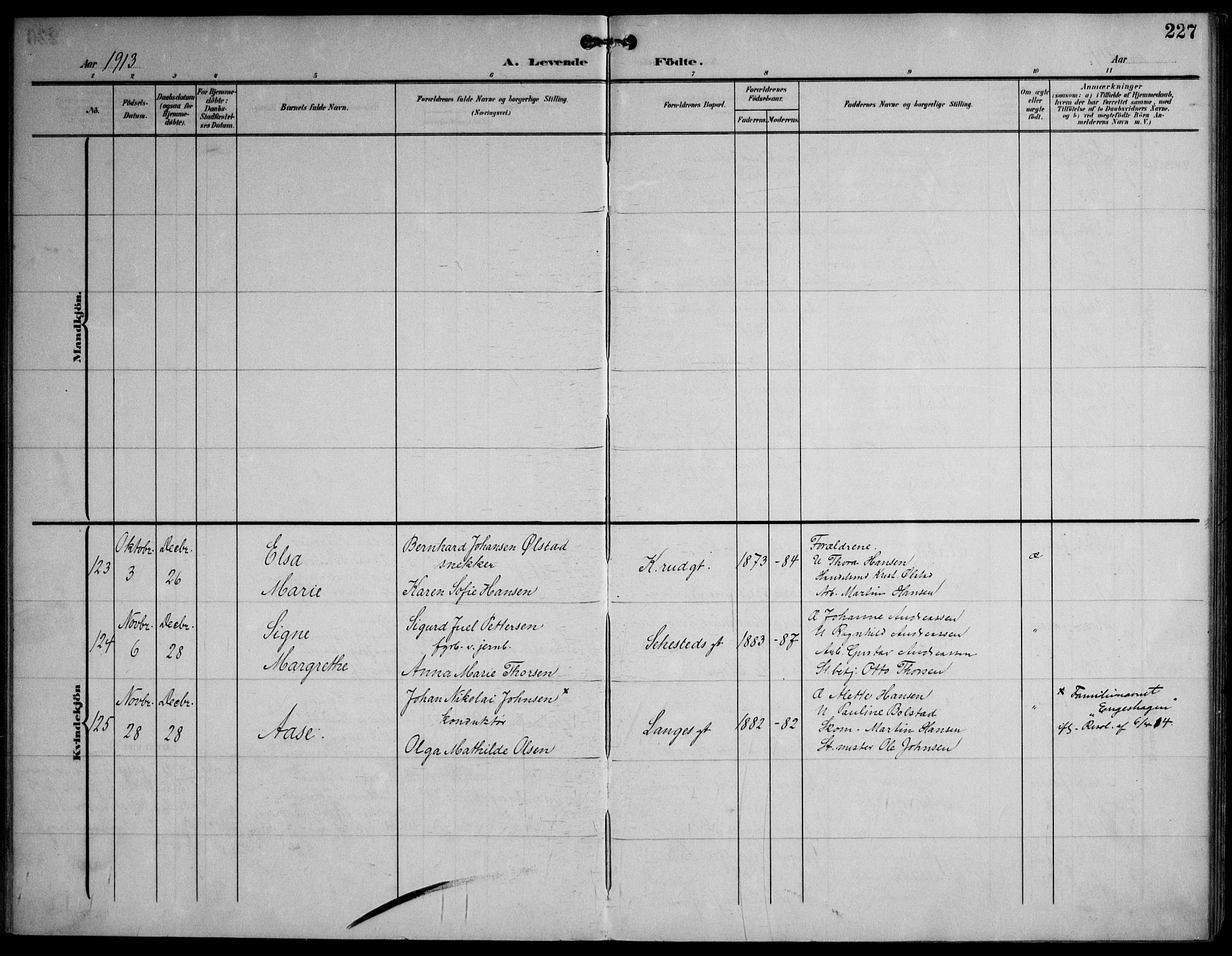 Strømsø kirkebøker, AV/SAKO-A-246/F/Fa/L0026: Parish register (official) no. I 26, 1905-1914, p. 227