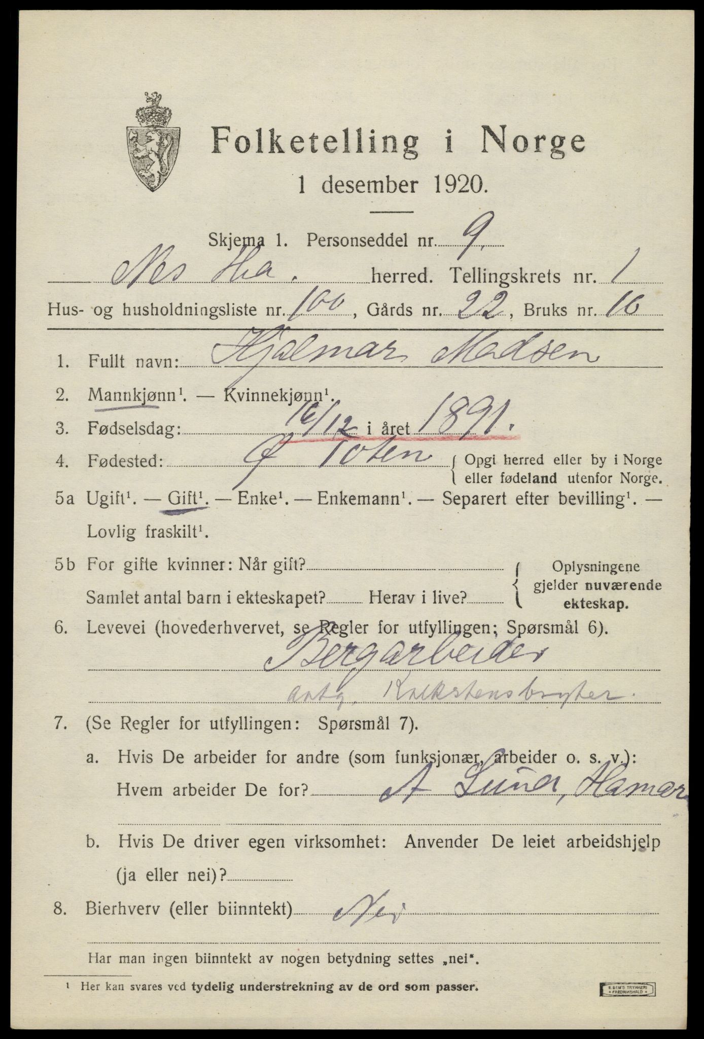 SAH, 1920 census for Nes (Hedmark), 1920, p. 2674