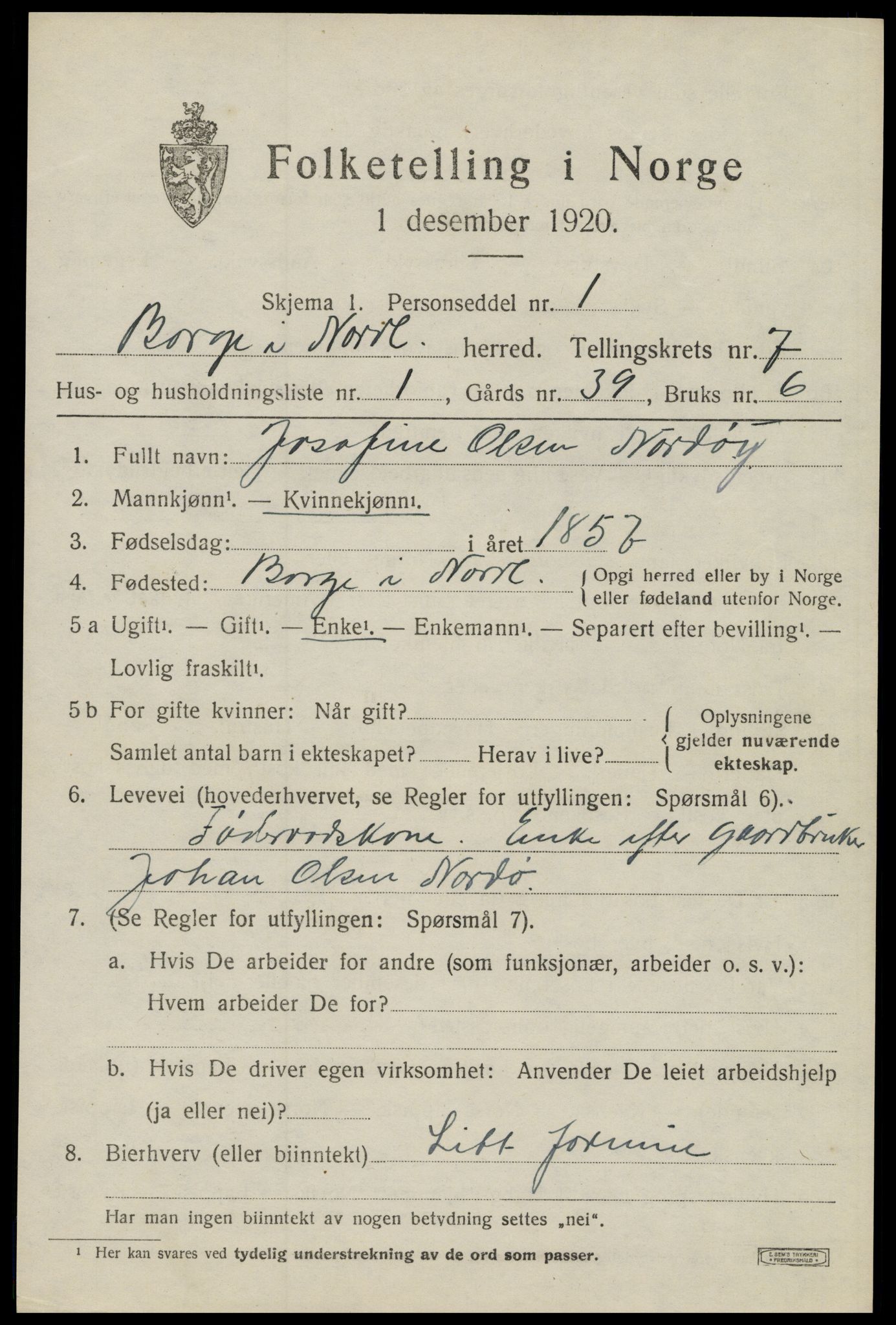 SAT, 1920 census for Borge, 1920, p. 6389