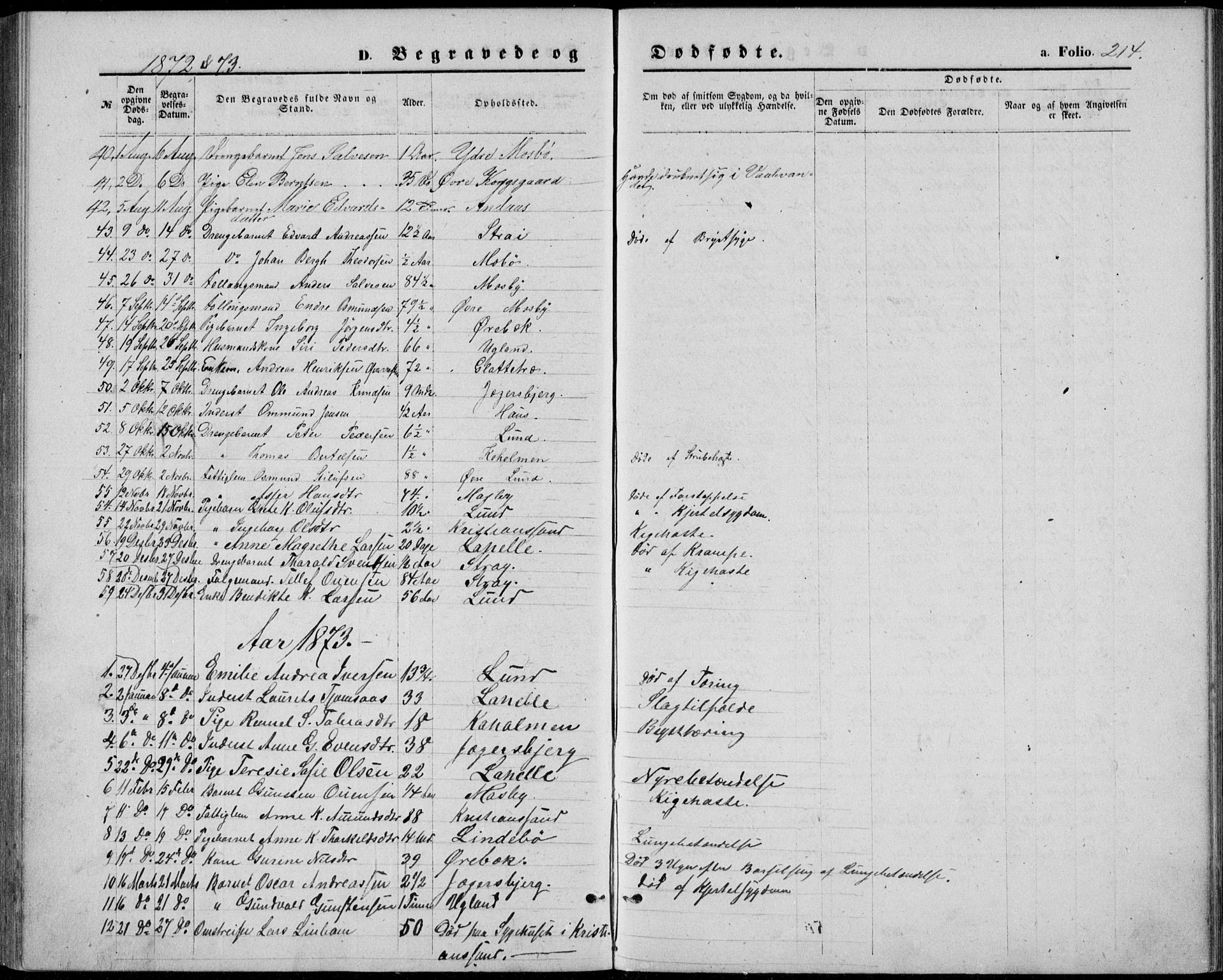 Oddernes sokneprestkontor, SAK/1111-0033/F/Fb/Fba/L0007: Parish register (copy) no. B 7, 1869-1887, p. 214