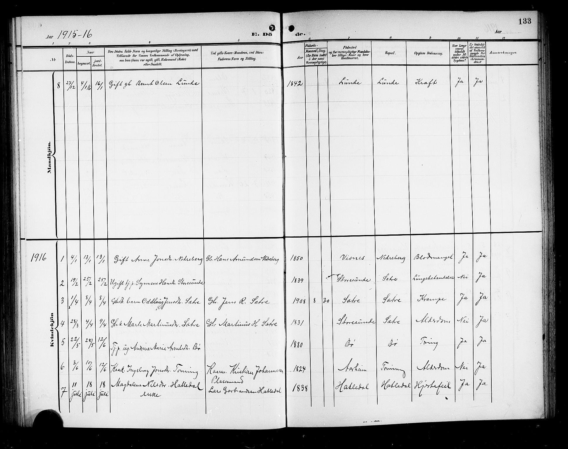 Stryn Sokneprestembete, AV/SAB-A-82501: Parish register (copy) no. A 3, 1906-1924, p. 133