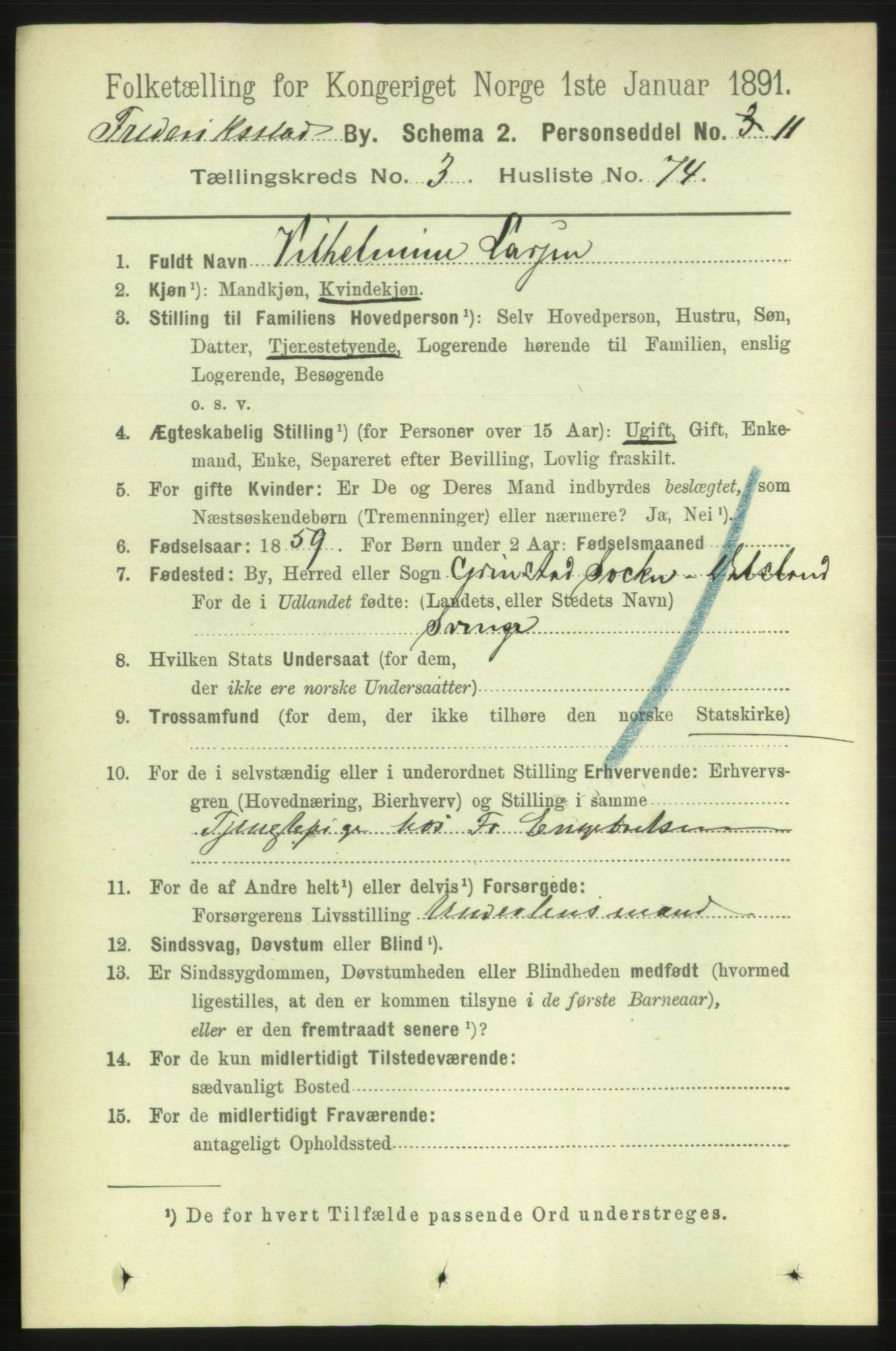 RA, 1891 census for 0103 Fredrikstad, 1891, p. 6035