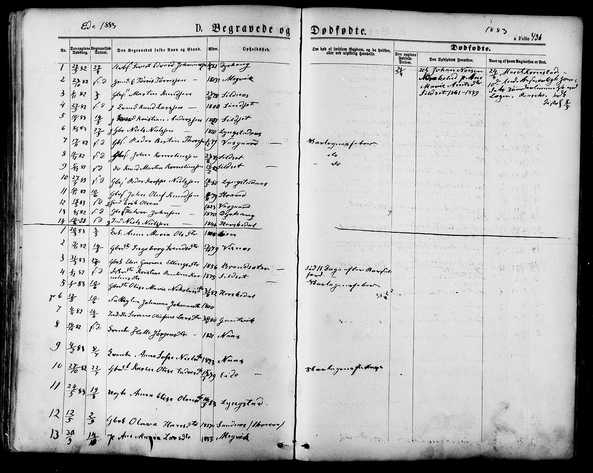 Ministerialprotokoller, klokkerbøker og fødselsregistre - Møre og Romsdal, AV/SAT-A-1454/568/L0806: Parish register (official) no. 568A12 /4, 1878-1884, p. 436