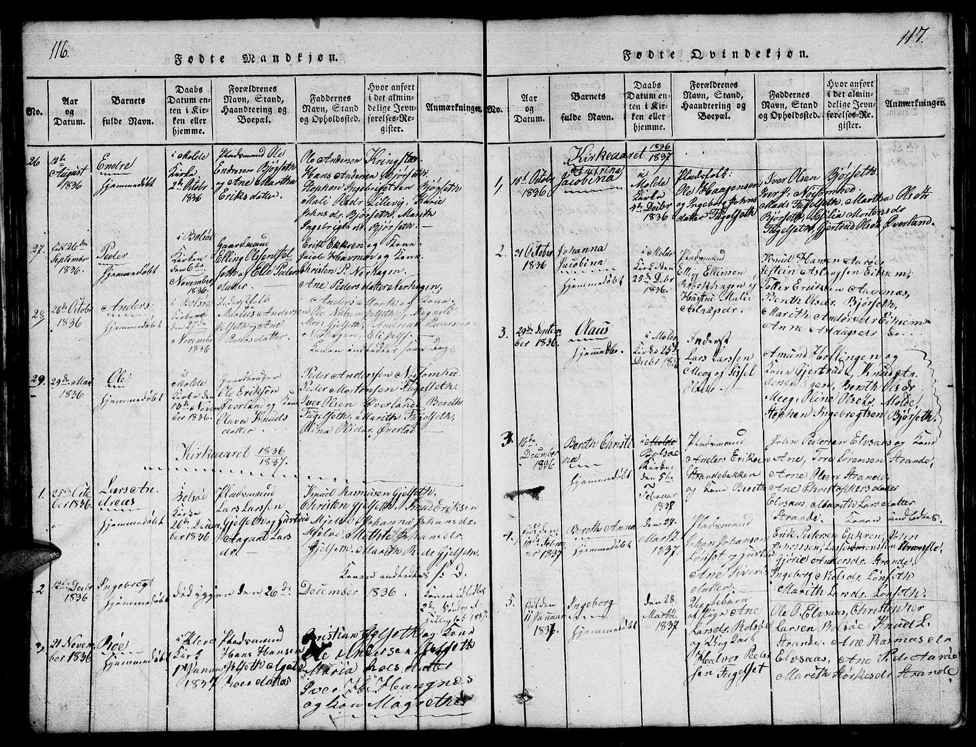 Ministerialprotokoller, klokkerbøker og fødselsregistre - Møre og Romsdal, SAT/A-1454/555/L0665: Parish register (copy) no. 555C01, 1818-1868, p. 116-117