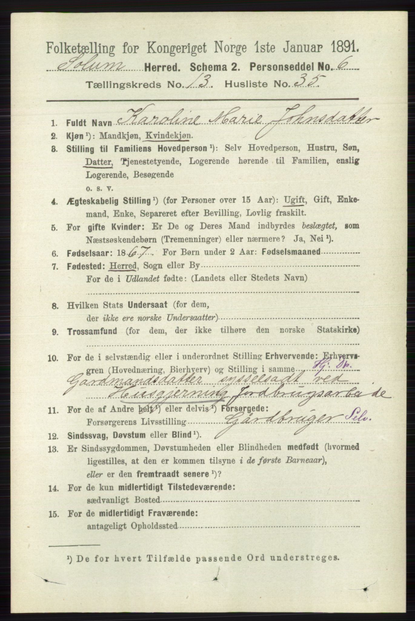 RA, 1891 census for 0818 Solum, 1891, p. 6230