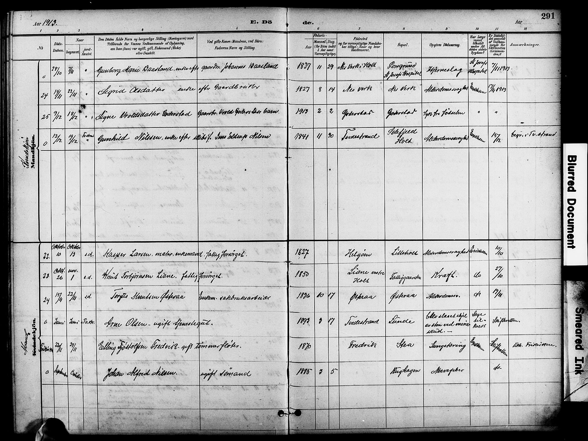 Holt sokneprestkontor, SAK/1111-0021/F/Fb/L0011: Parish register (copy) no. B 11, 1897-1921, p. 291