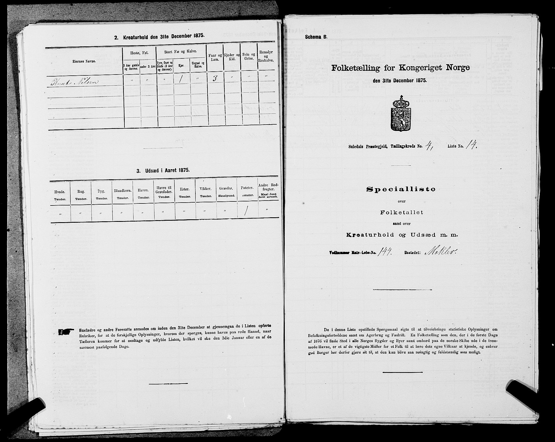 SAST, 1875 census for 1134P Suldal, 1875, p. 527