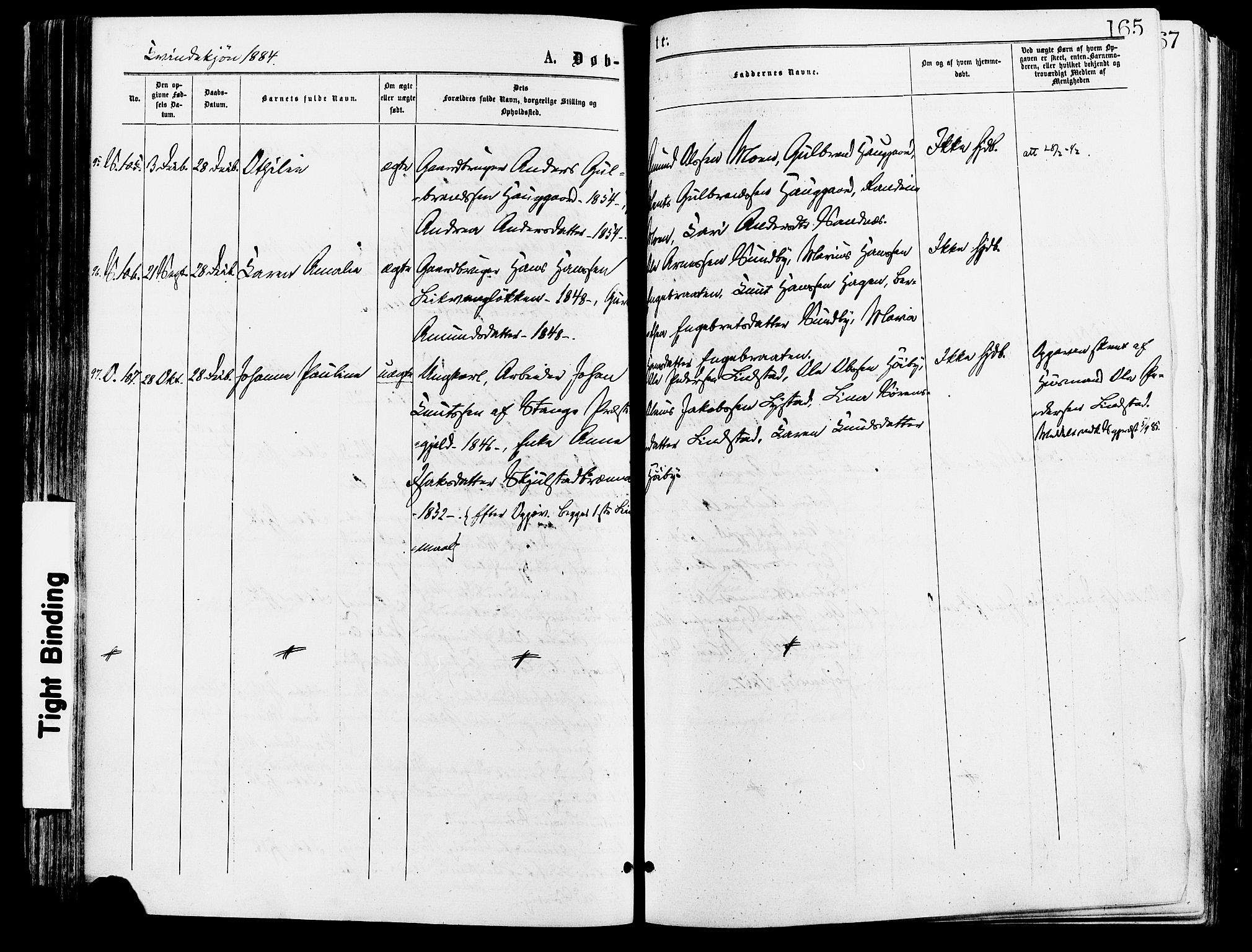 Sør-Odal prestekontor, SAH/PREST-030/H/Ha/Haa/L0005: Parish register (official) no. 5, 1876-1885, p. 165