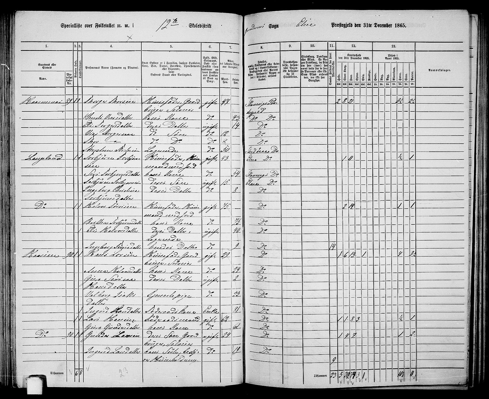 RA, 1865 census for Etne, 1865, p. 78