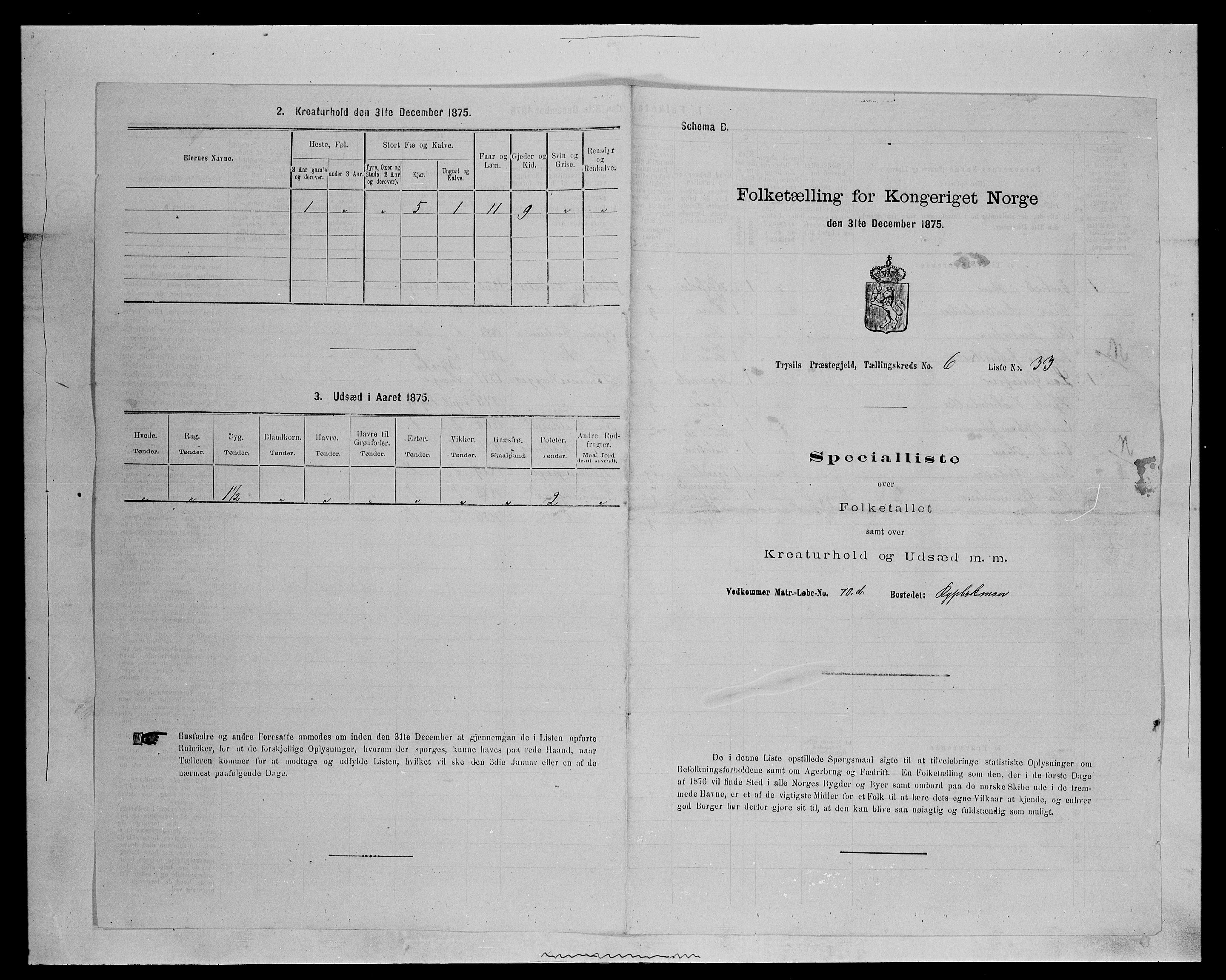 SAH, 1875 census for 0428P Trysil, 1875, p. 785