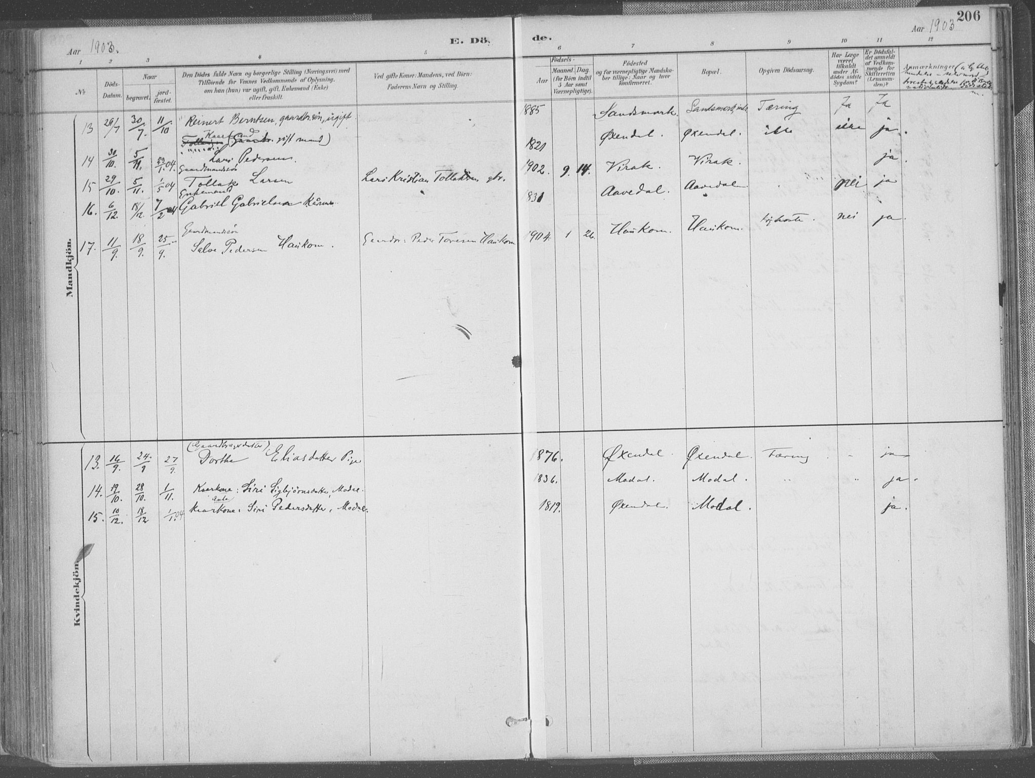 Bakke sokneprestkontor, AV/SAK-1111-0002/F/Fa/Faa/L0008: Parish register (official) no. A 8, 1887-1911, p. 206