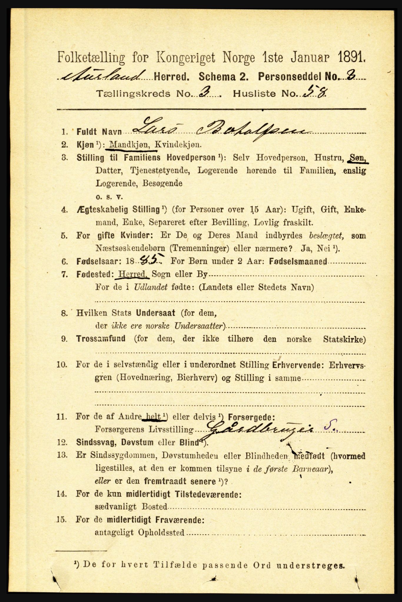 RA, 1891 census for 1421 Aurland, 1891, p. 1248
