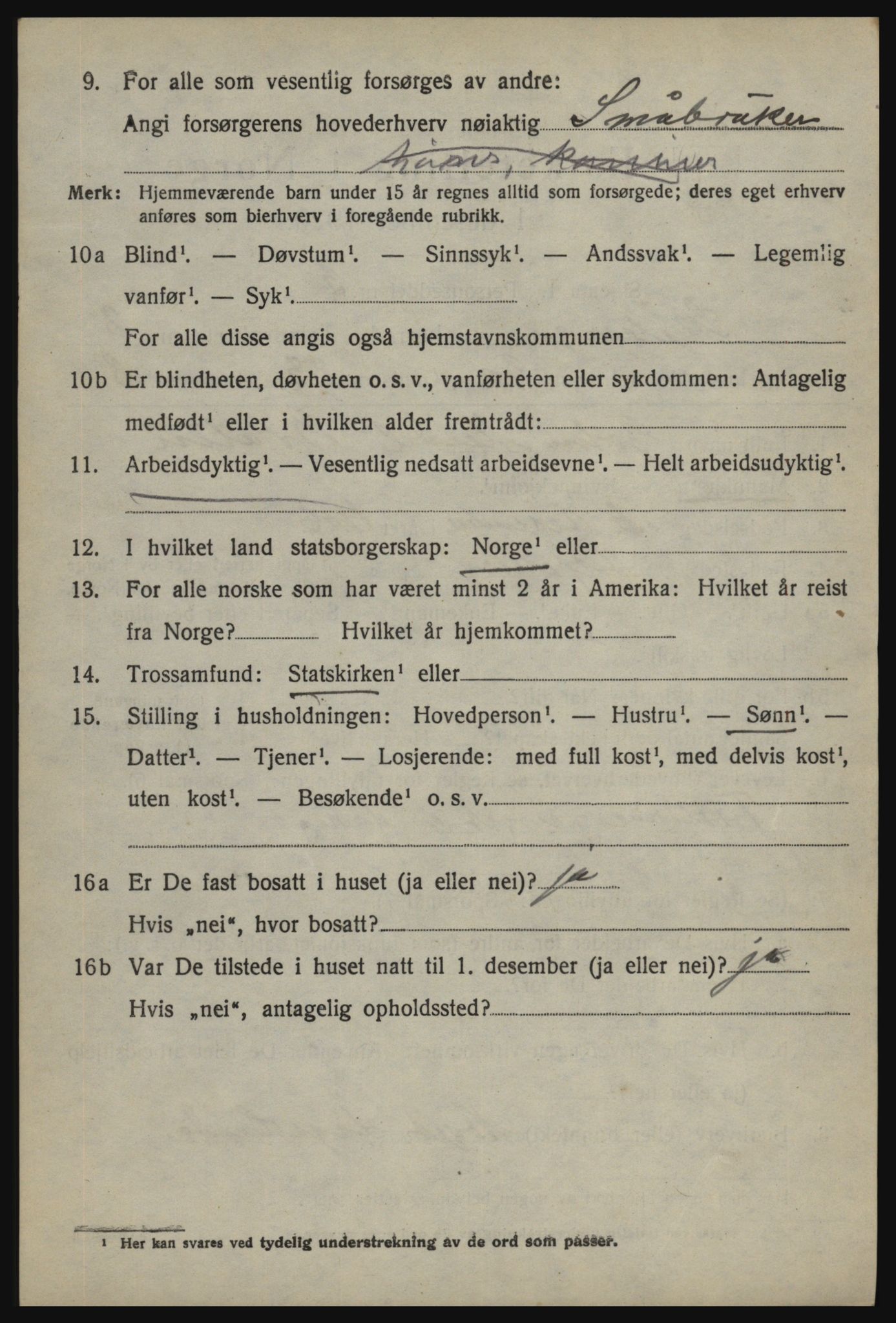 SAO, 1920 census for Skjeberg, 1920, p. 8218