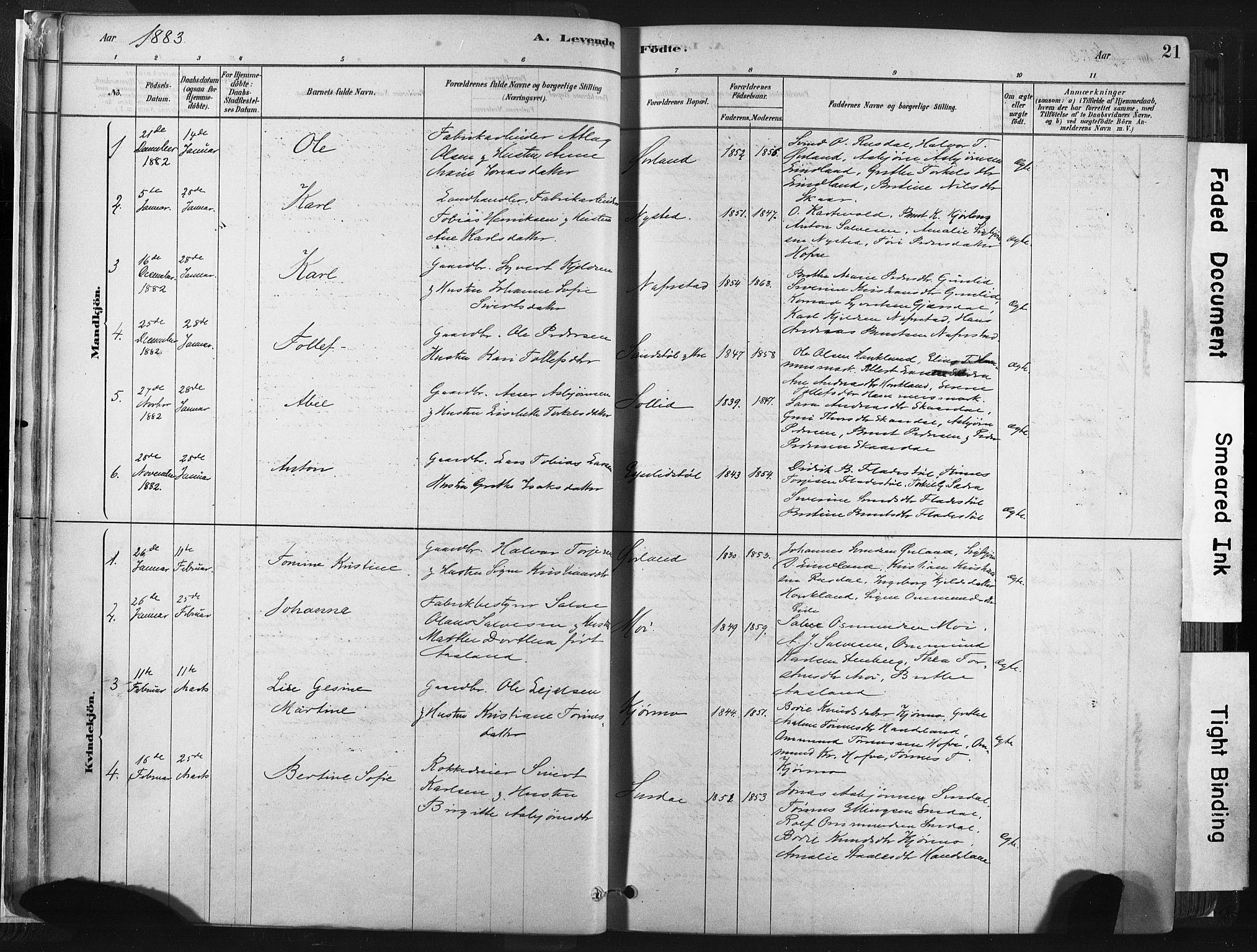 Lund sokneprestkontor, SAST/A-101809/S06/L0011: Parish register (official) no. A 10, 1877-1904, p. 21