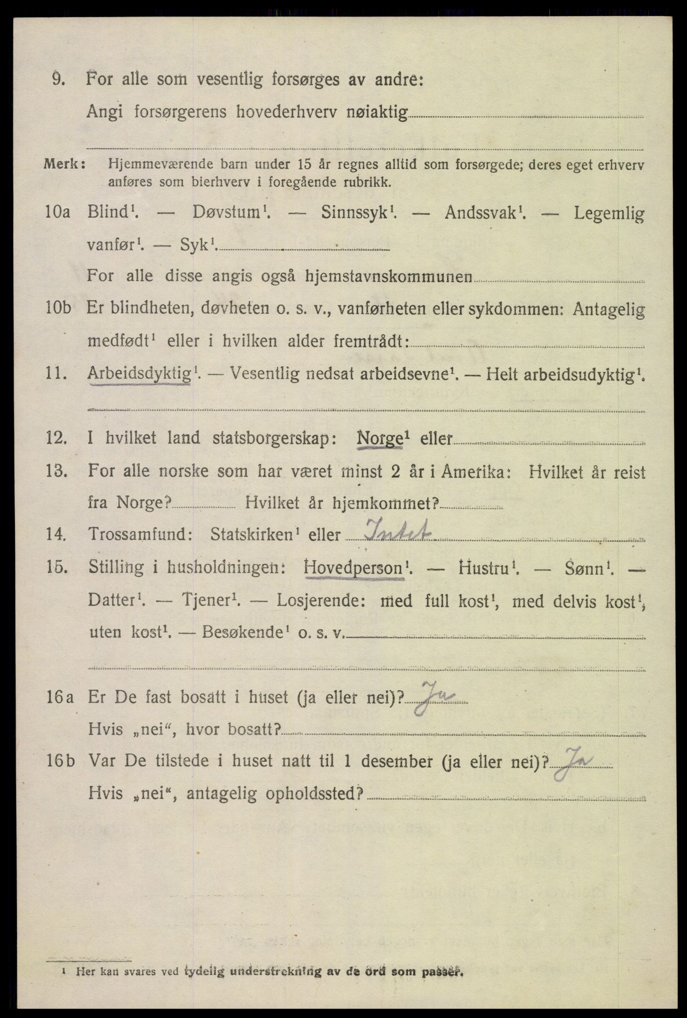 SAK, 1920 census for Hornnes, 1920, p. 2846