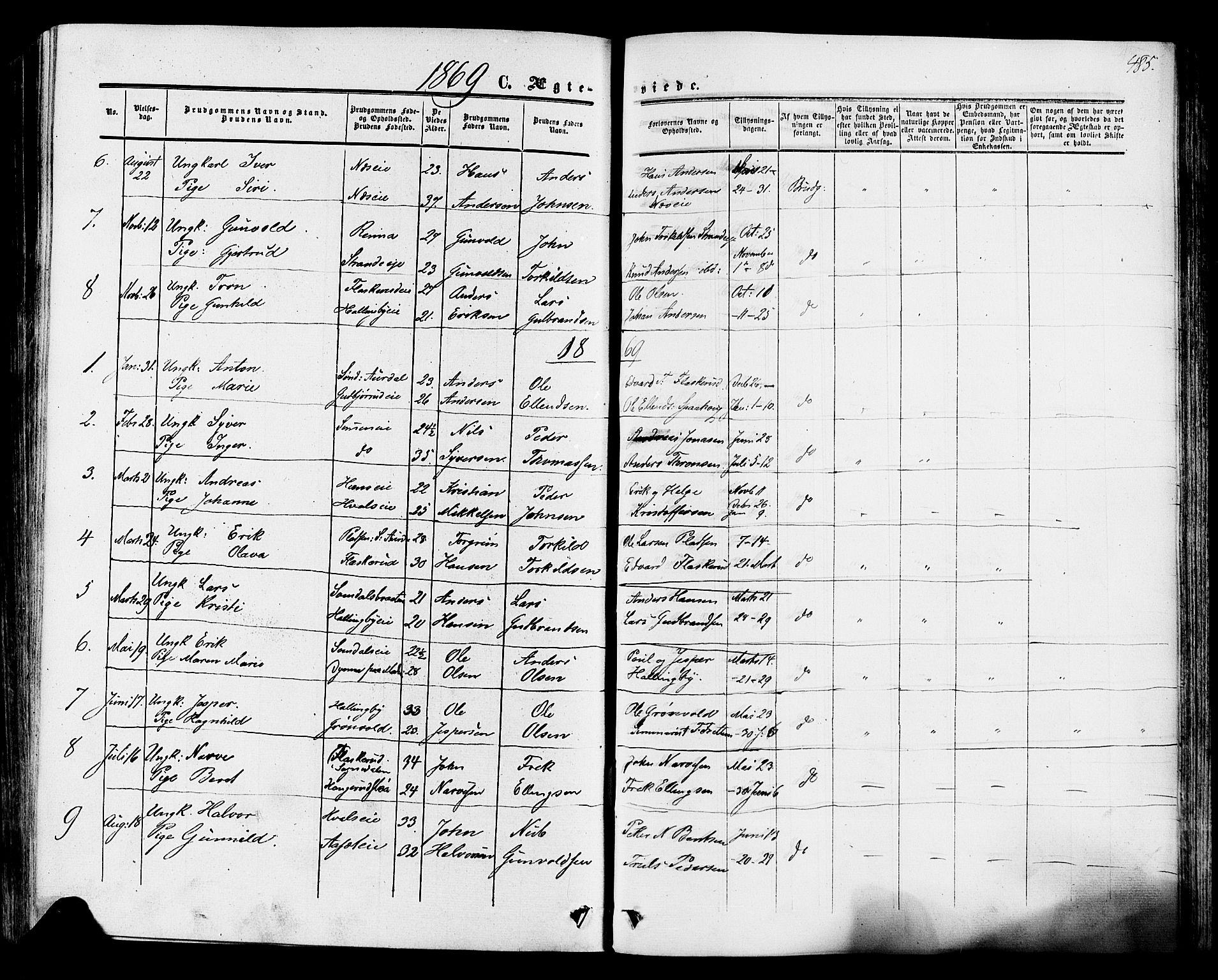 Ådal kirkebøker, SAKO/A-248/F/Fa/L0001: Parish register (official) no. I 1, 1857-1883, p. 485