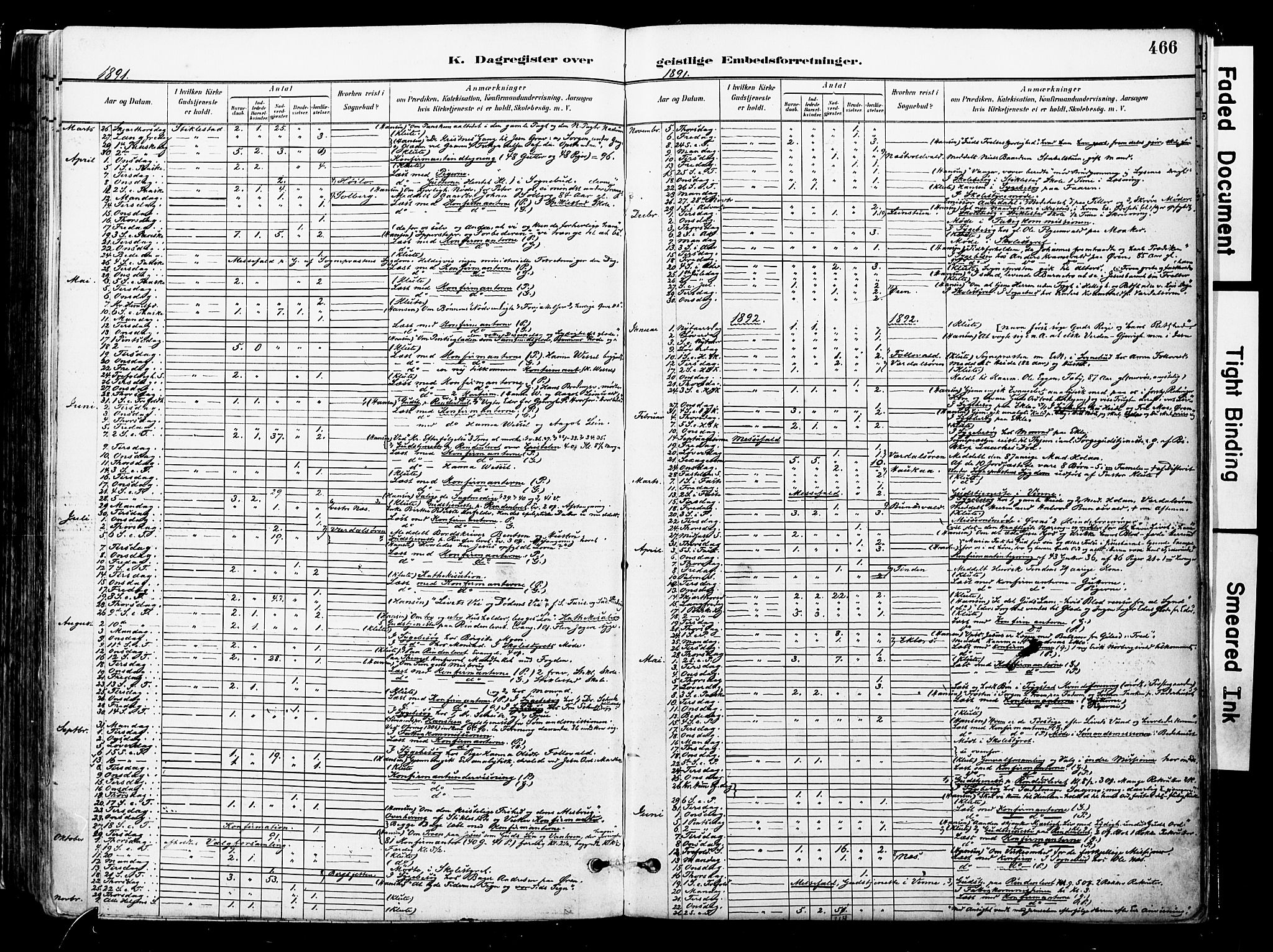 Ministerialprotokoller, klokkerbøker og fødselsregistre - Nord-Trøndelag, SAT/A-1458/723/L0244: Parish register (official) no. 723A13, 1881-1899, p. 466