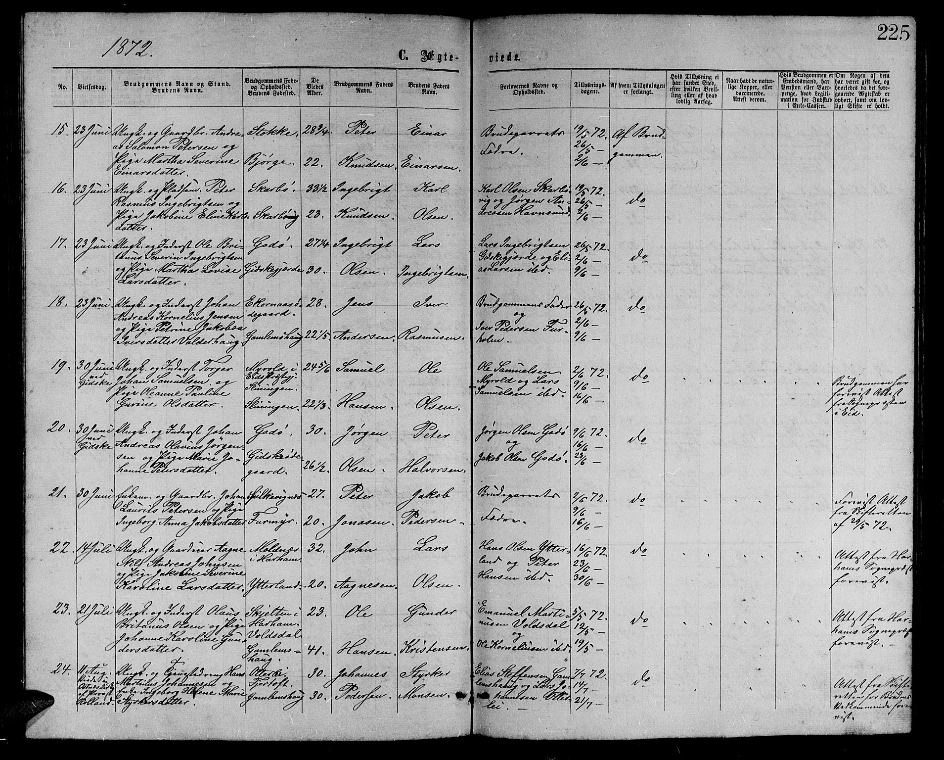 Ministerialprotokoller, klokkerbøker og fødselsregistre - Møre og Romsdal, AV/SAT-A-1454/528/L0428: Parish register (copy) no. 528C09, 1864-1880, p. 225