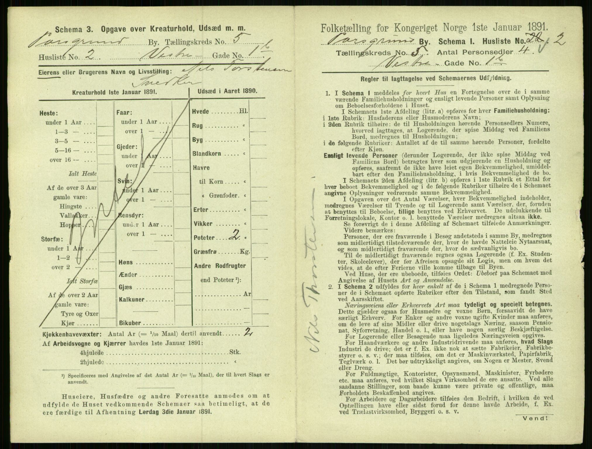 RA, 1891 census for 0805 Porsgrunn, 1891, p. 1001