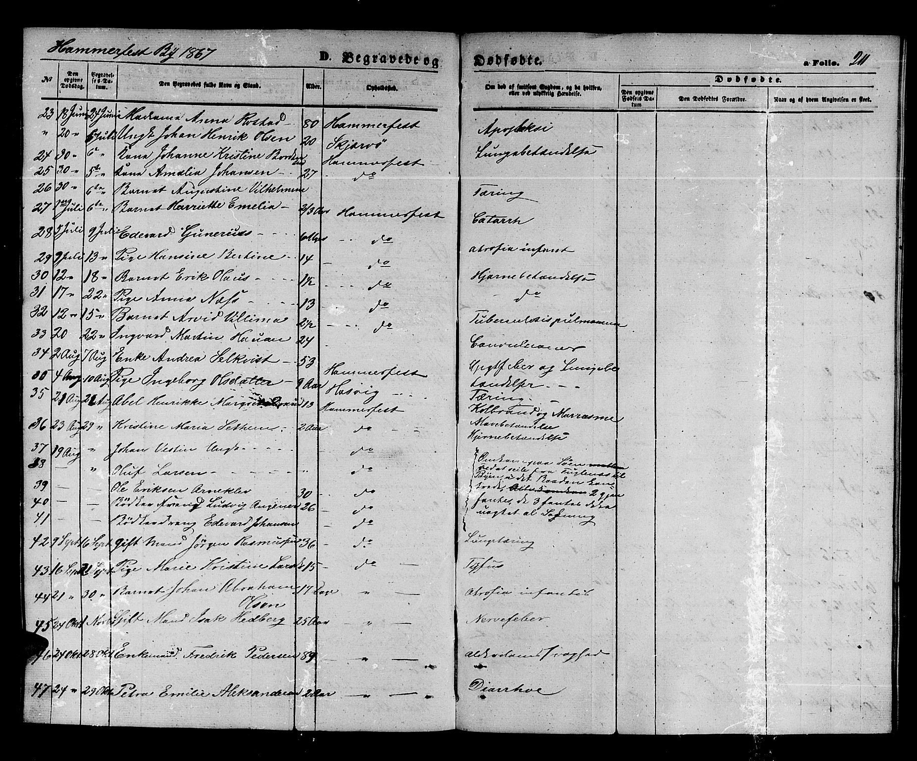 Hammerfest sokneprestkontor, AV/SATØ-S-1347/H/Hb/L0003.klokk: Parish register (copy) no. 3 /1, 1862-1868, p. 211