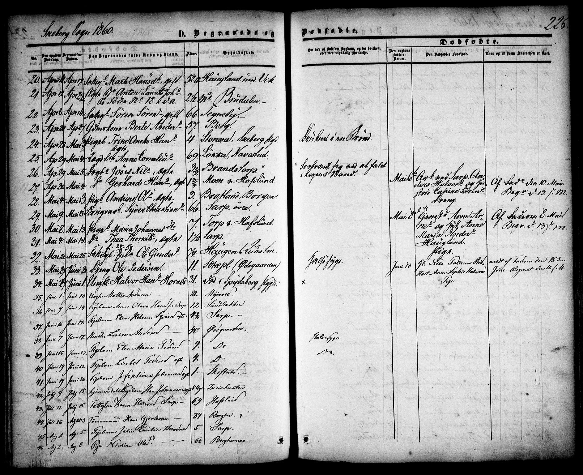 Skjeberg prestekontor Kirkebøker, SAO/A-10923/F/Fa/L0007: Parish register (official) no. I 7, 1859-1868, p. 226