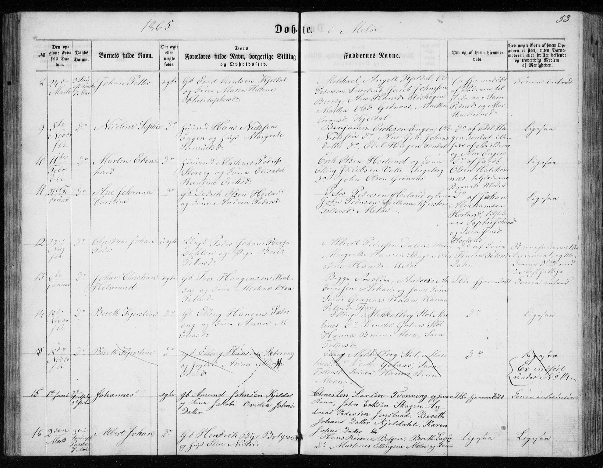 Ministerialprotokoller, klokkerbøker og fødselsregistre - Nordland, SAT/A-1459/843/L0634: Parish register (copy) no. 843C03, 1860-1884, p. 53