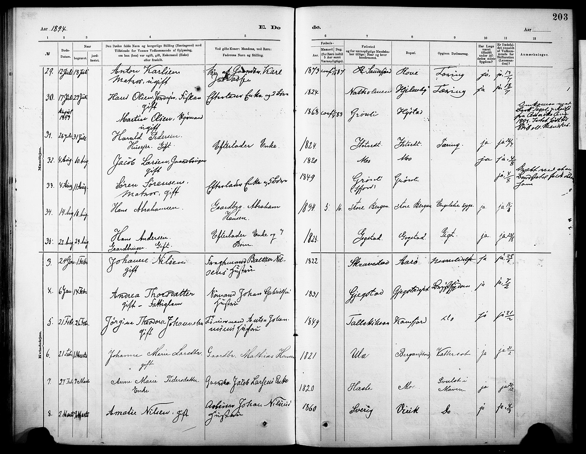 Sandar kirkebøker, AV/SAKO-A-243/F/Fa/L0013: Parish register (official) no. 13, 1883-1895, p. 203