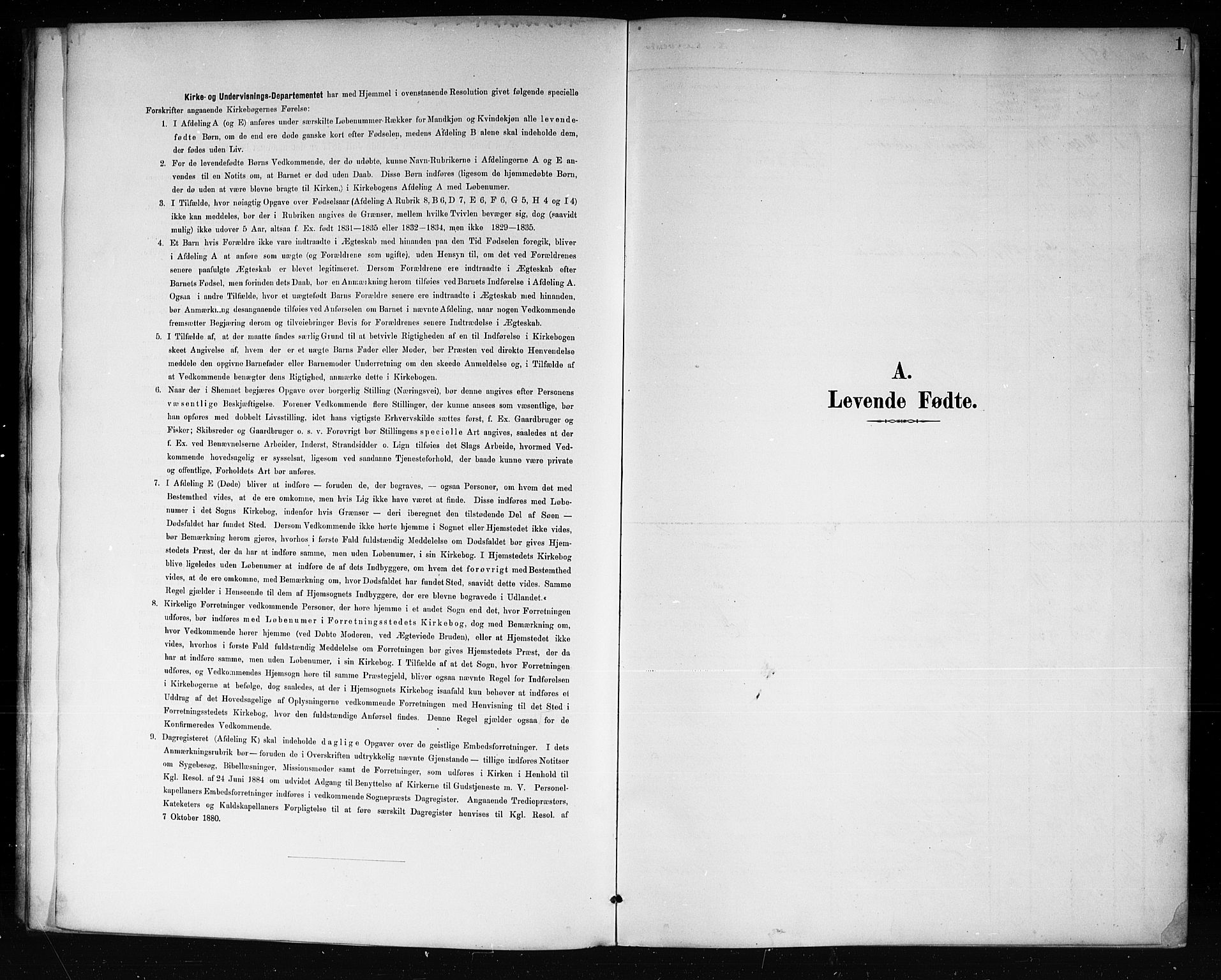 Lårdal kirkebøker, SAKO/A-284/G/Ga/L0003: Parish register (copy) no. I 3, 1891-1918