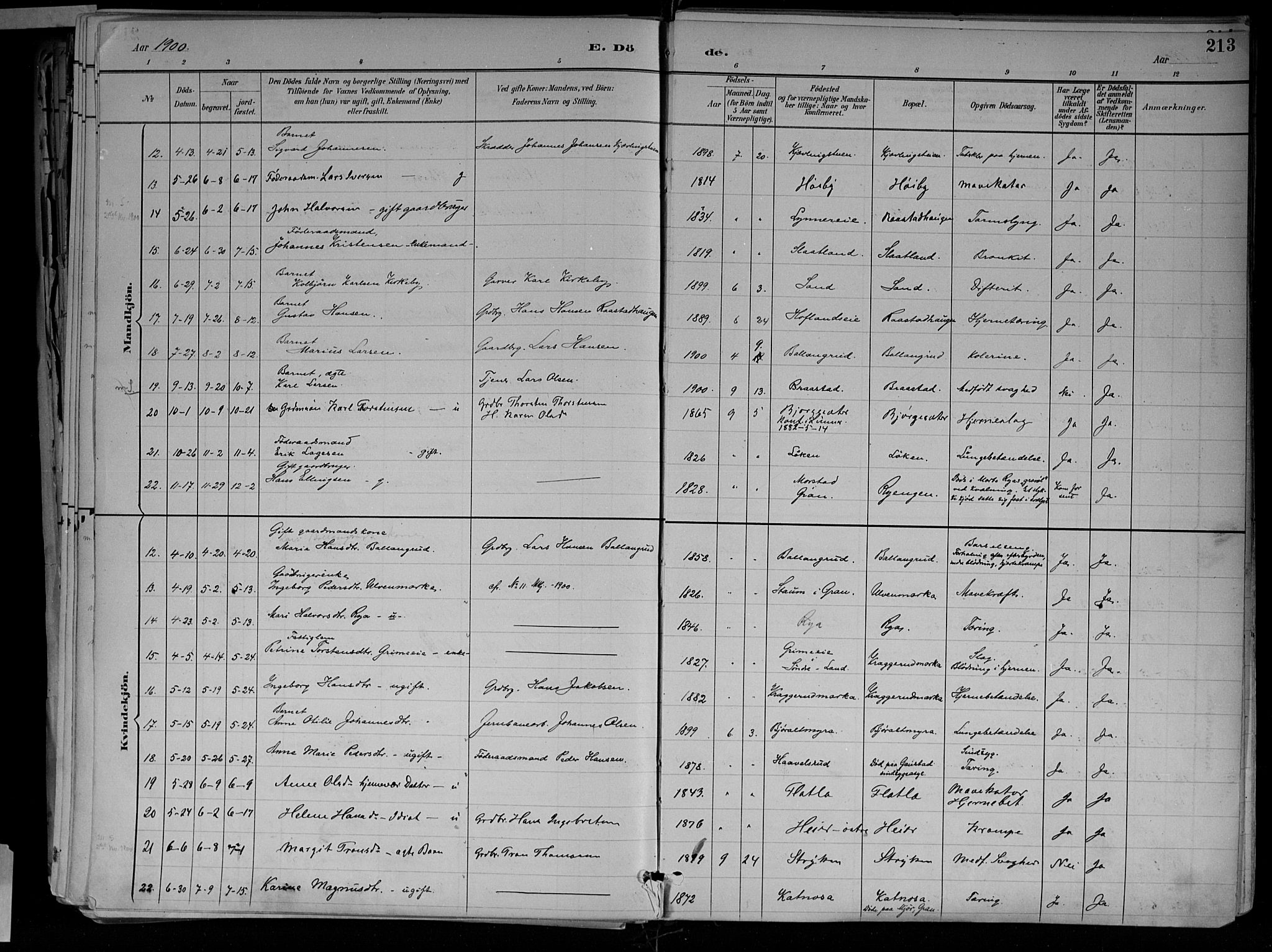 Jevnaker prestekontor, SAH/PREST-116/H/Ha/Haa/L0010: Parish register (official) no. 10, 1891-1906, p. 213