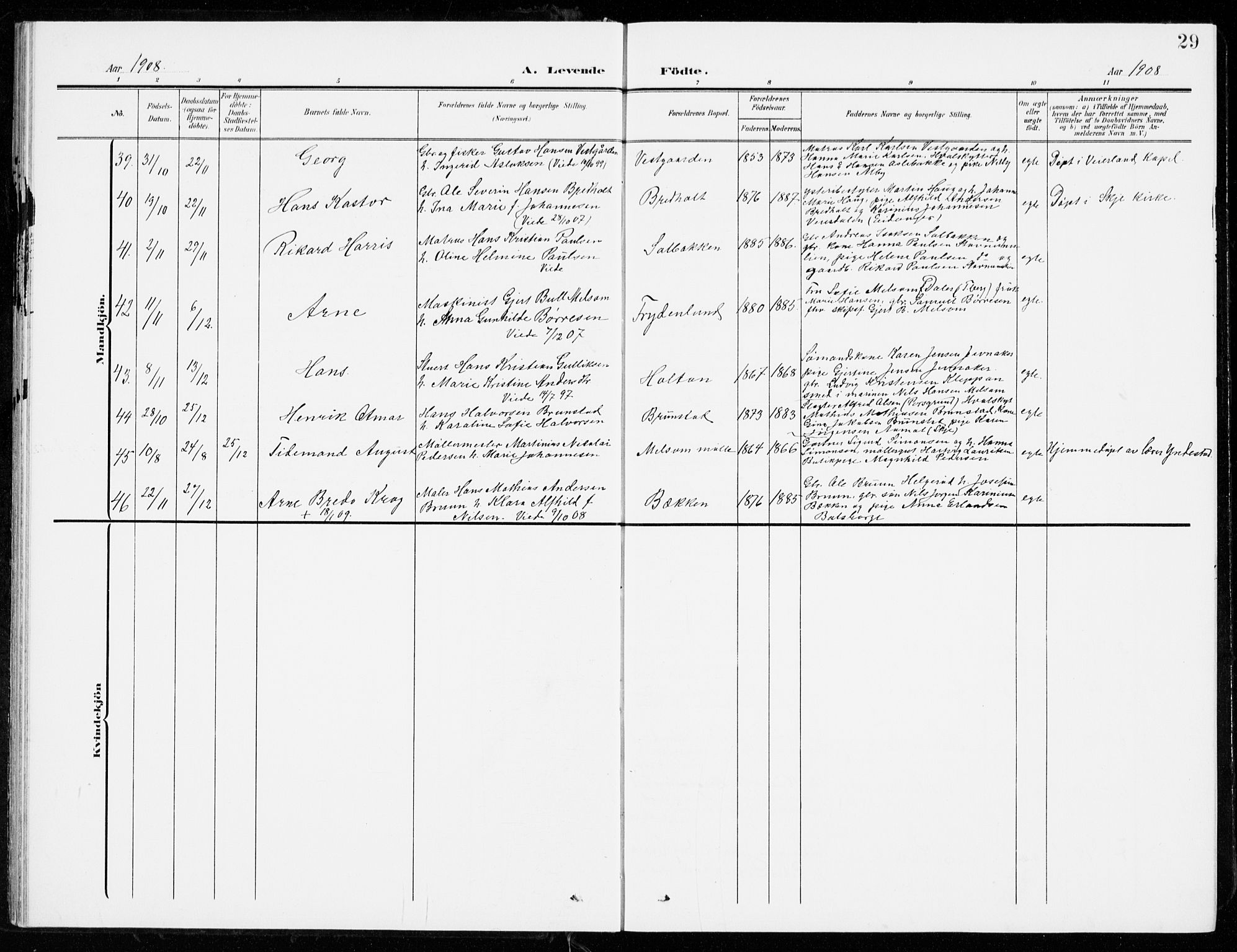 Stokke kirkebøker, SAKO/A-320/G/Ga/L0001: Parish register (copy) no. I 1, 1904-1940, p. 29