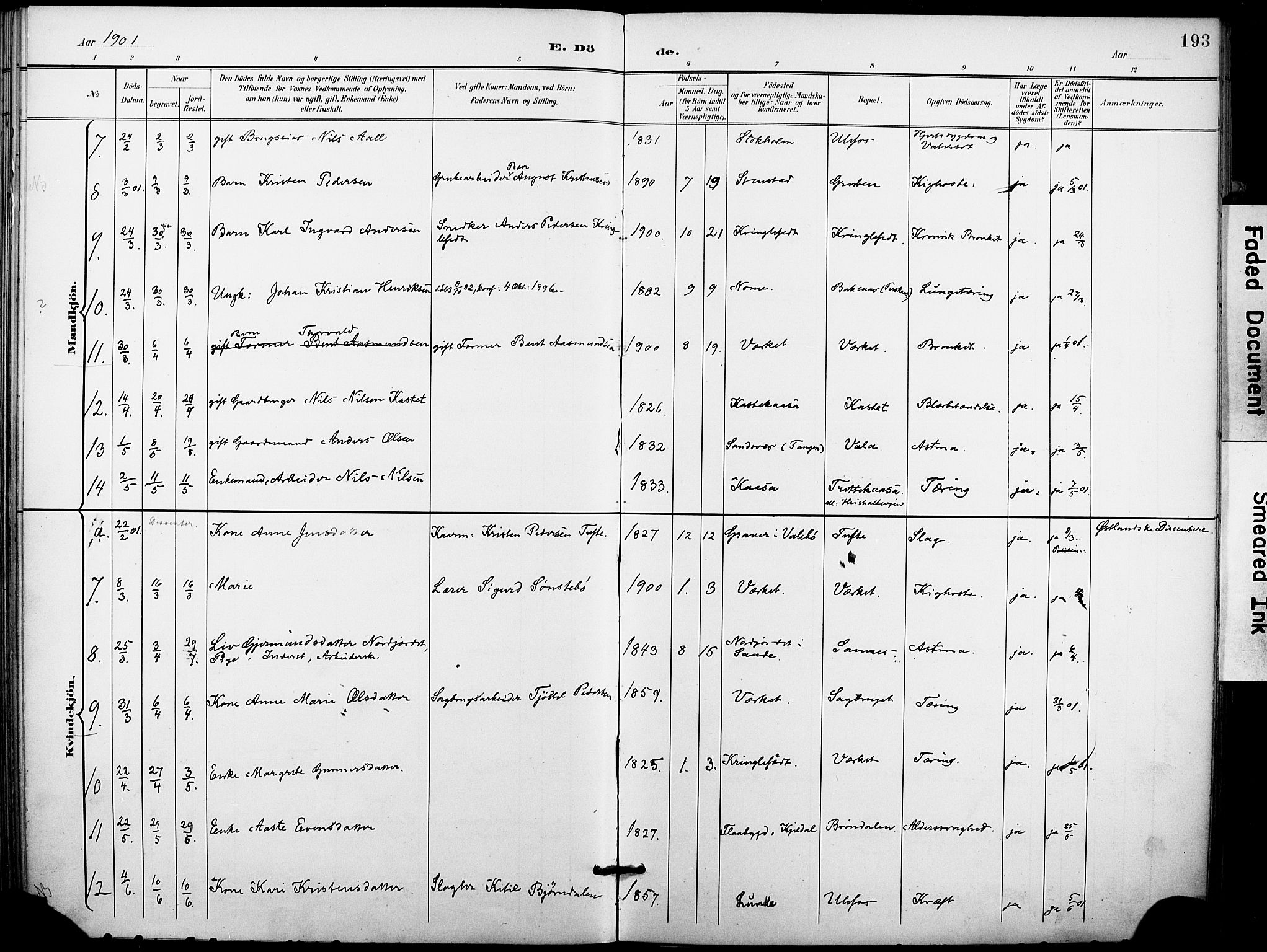 Holla kirkebøker, SAKO/A-272/F/Fa/L0010: Parish register (official) no. 10, 1897-1907, p. 193