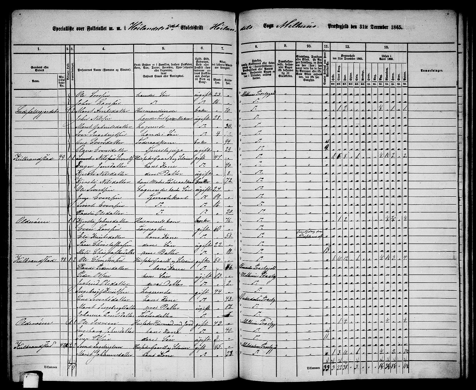 RA, 1865 census for Melhus, 1865, p. 185