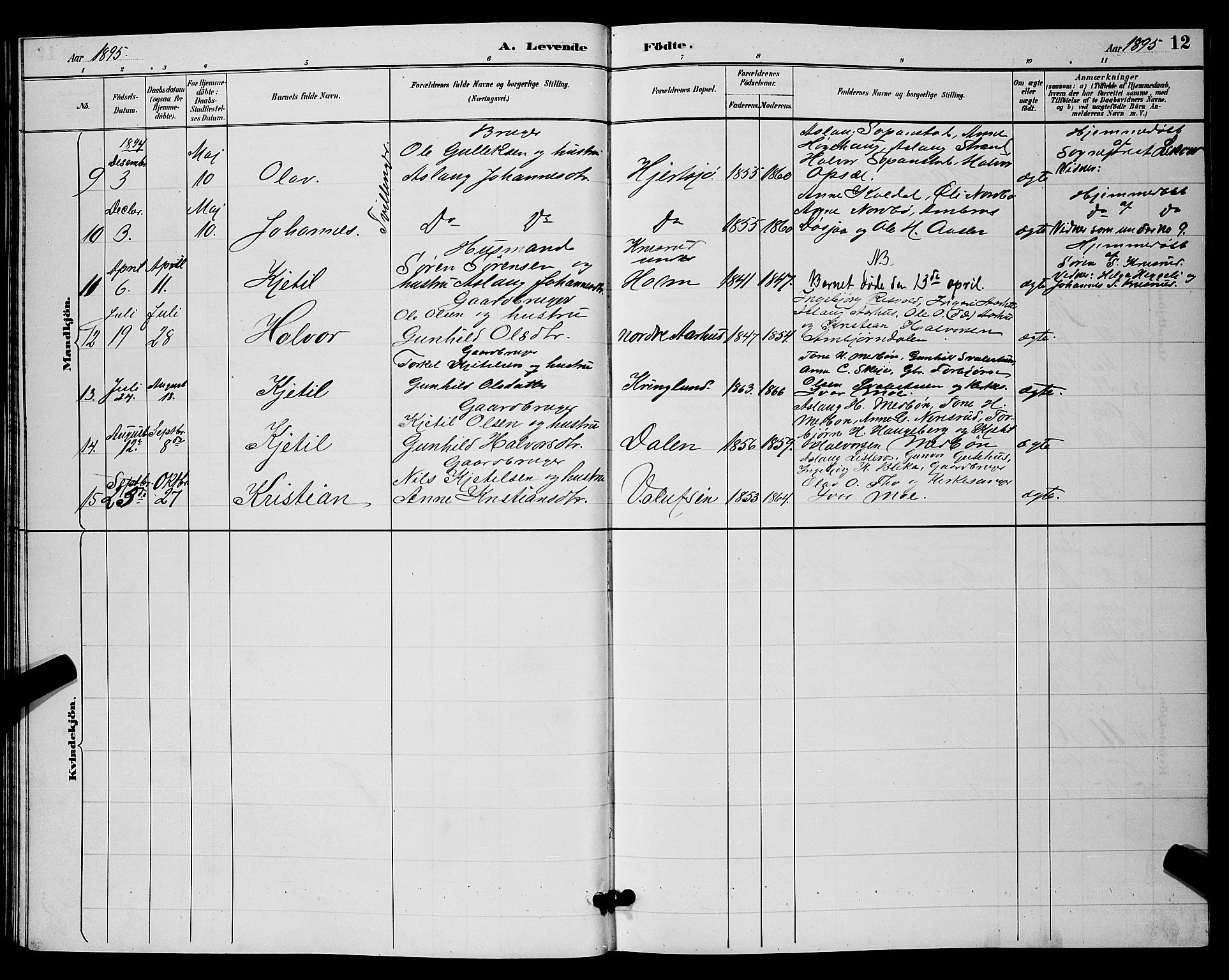 Hjartdal kirkebøker, SAKO/A-270/G/Ga/L0003: Parish register (copy) no. I 3, 1889-1896, p. 12