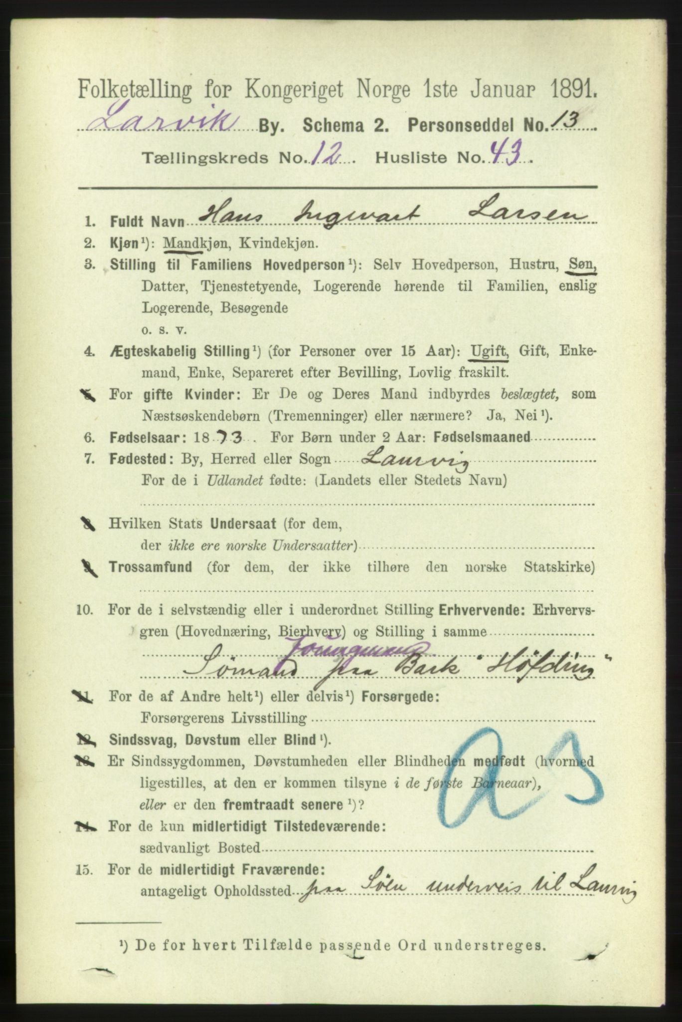 RA, 1891 census for 0707 Larvik, 1891, p. 10480