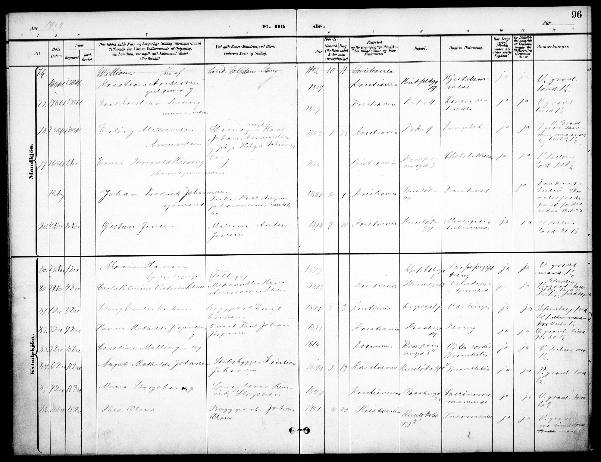 Johannes prestekontor Kirkebøker, SAO/A-10852/F/Fa/L0008: Parish register (official) no. 8, 1897-1917, p. 96