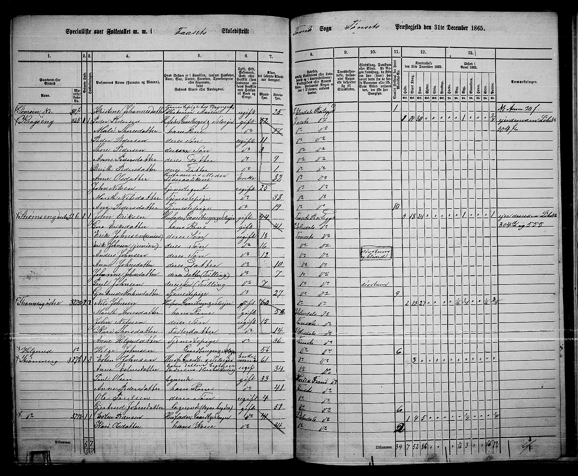 RA, 1865 census for Tynset, 1865, p. 125