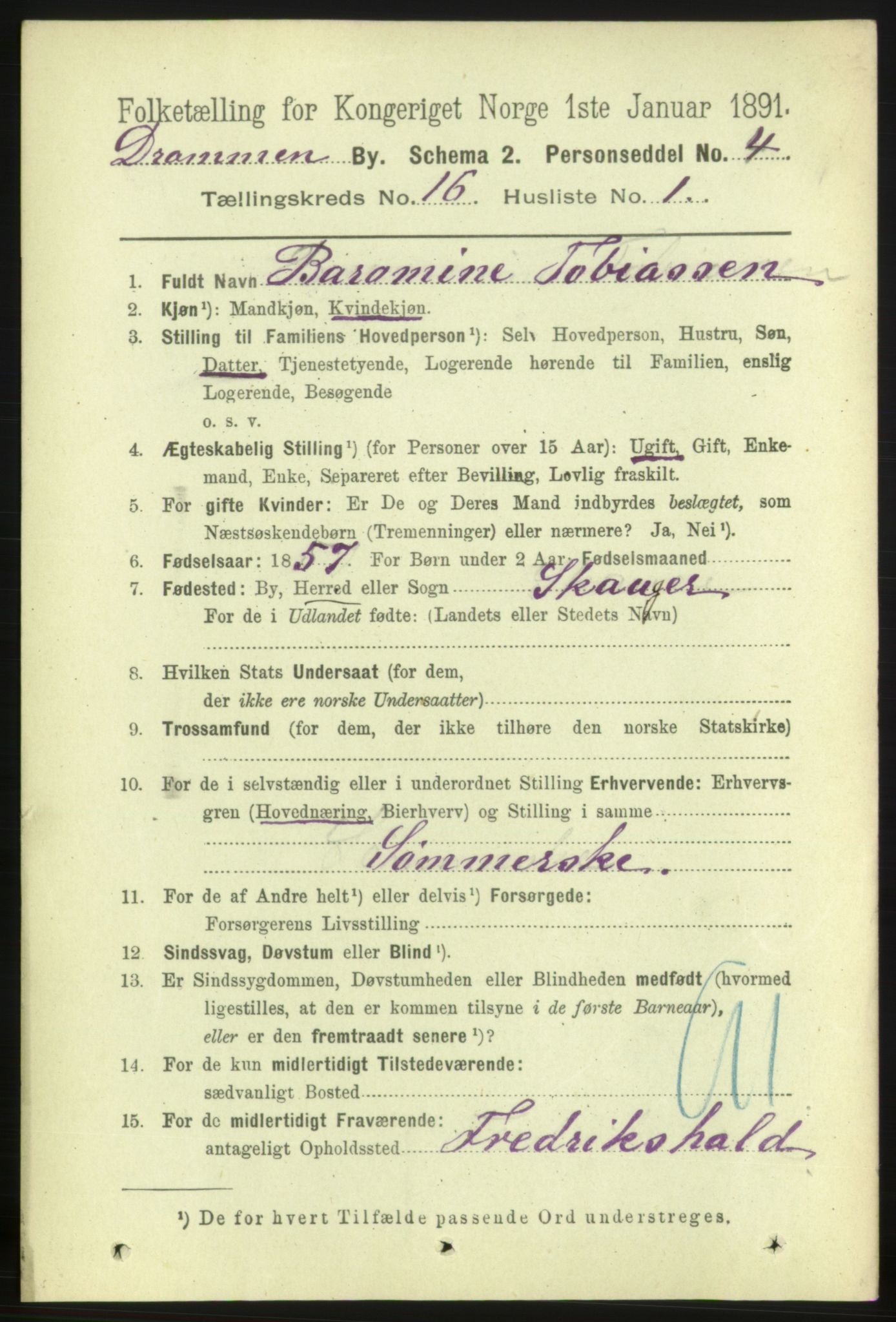 RA, 1891 census for 0602 Drammen, 1891, p. 10960