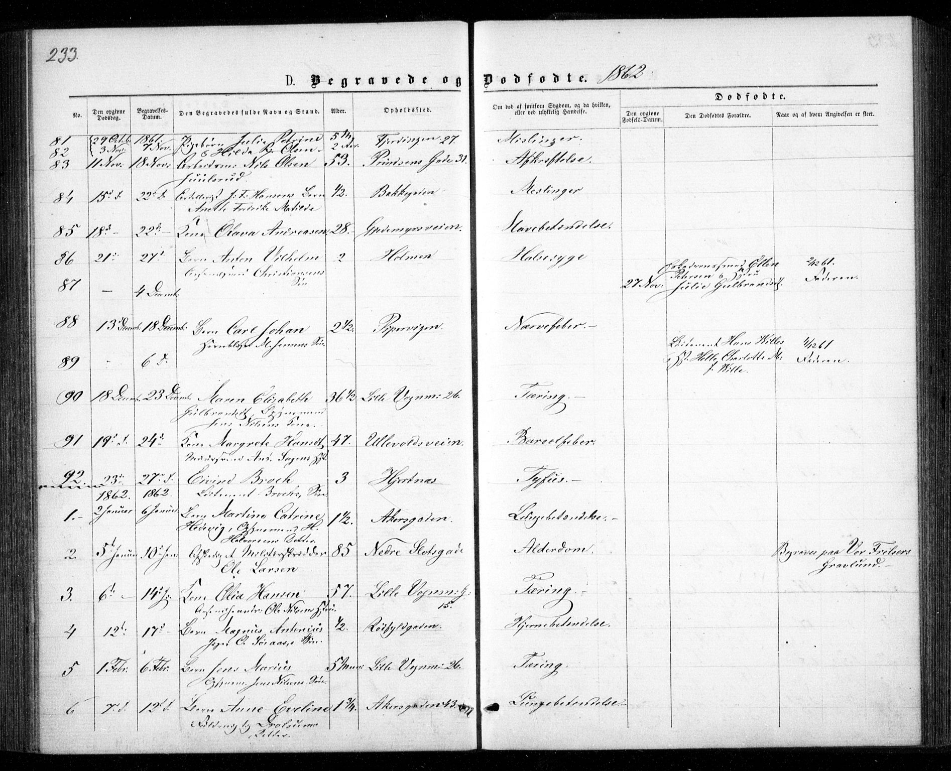 Garnisonsmenigheten Kirkebøker, SAO/A-10846/G/Ga/L0006: Parish register (copy) no. 6, 1860-1880, p. 233