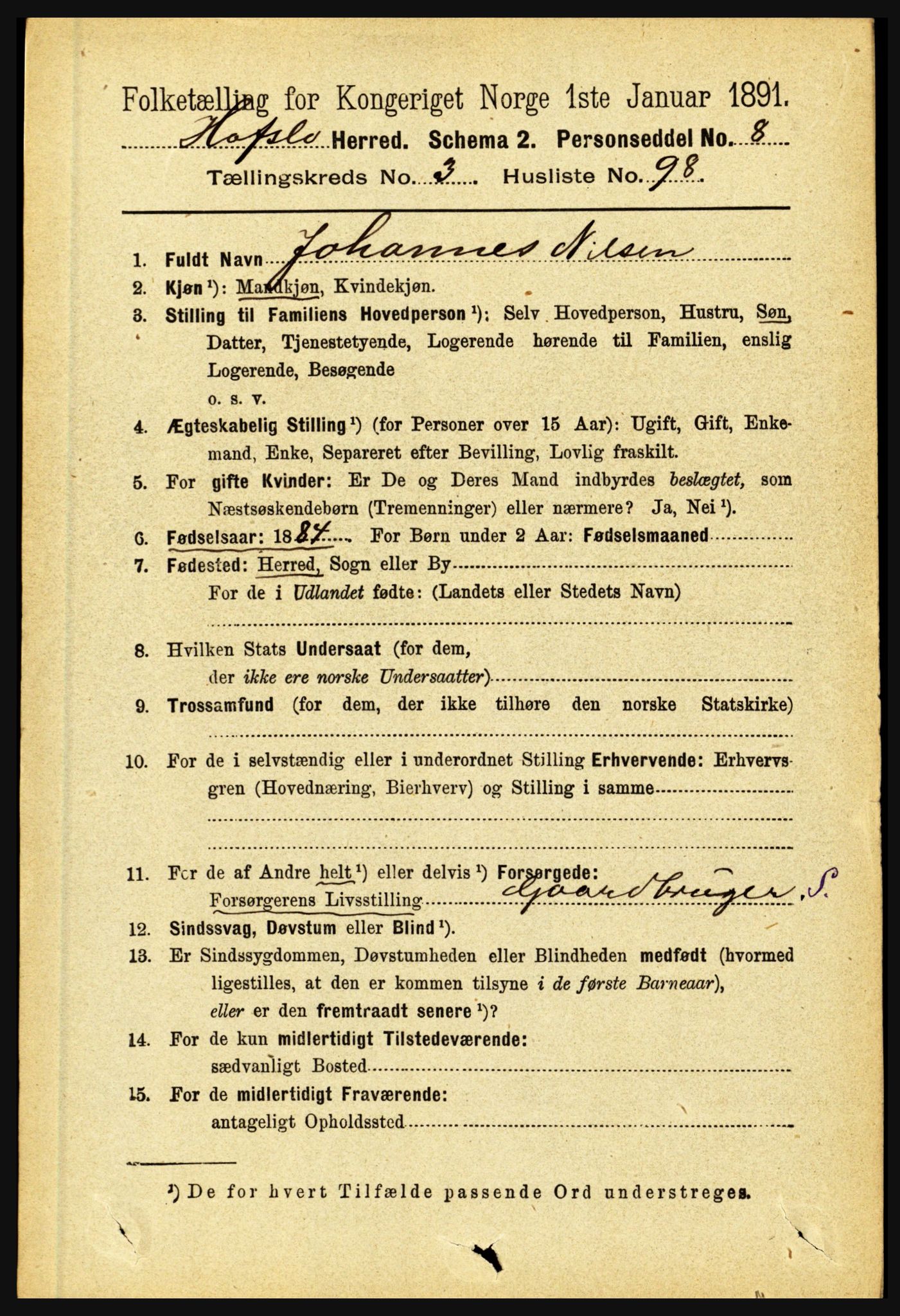 RA, 1891 census for 1425 Hafslo, 1891, p. 1511