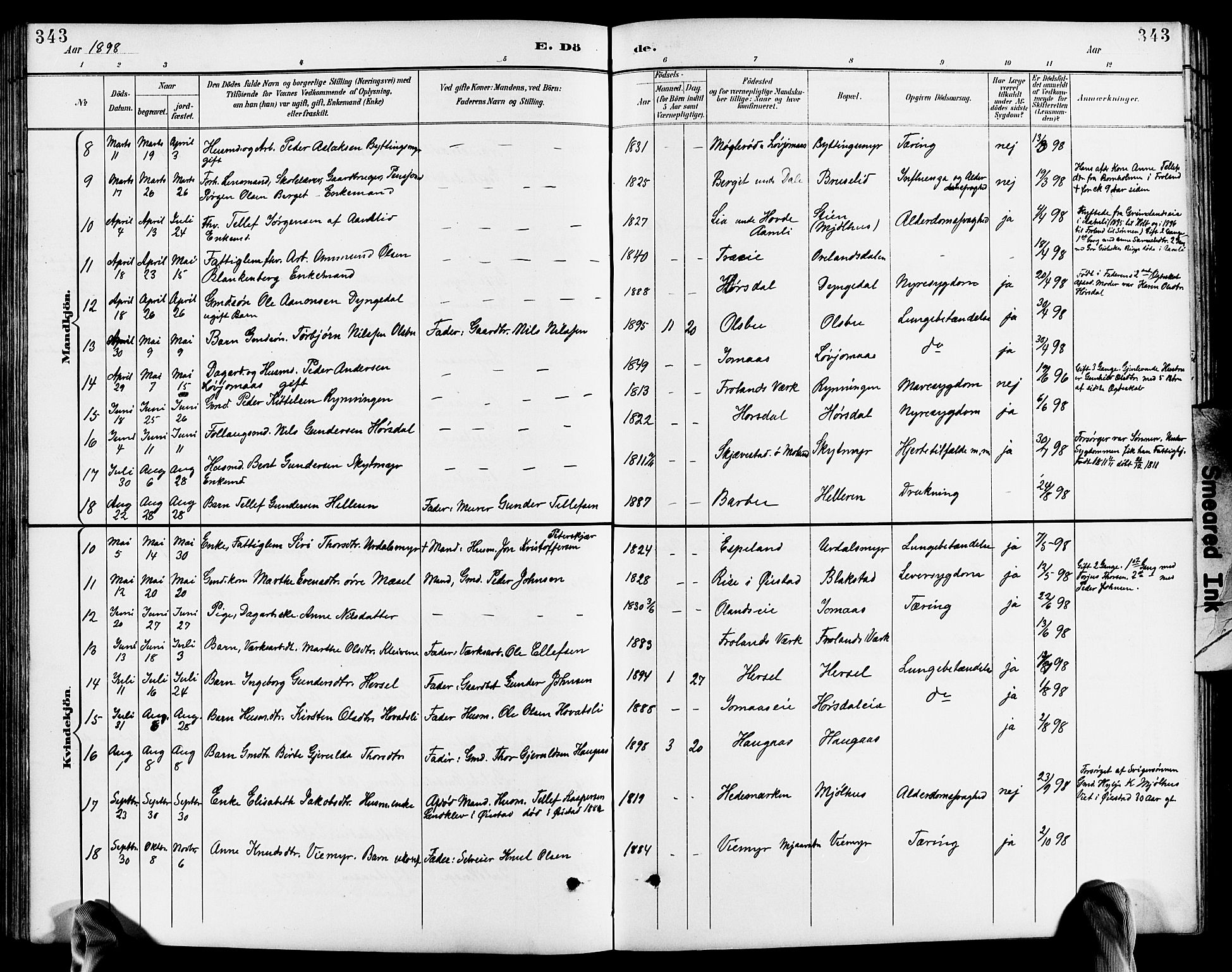 Froland sokneprestkontor, AV/SAK-1111-0013/F/Fb/L0010: Parish register (copy) no. B 10, 1893-1920, p. 343