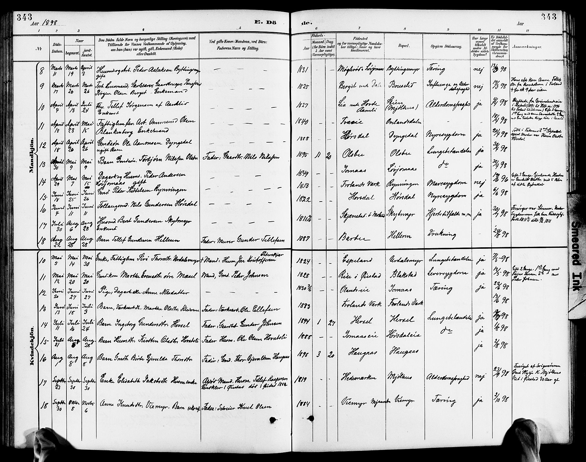 Froland sokneprestkontor, SAK/1111-0013/F/Fb/L0010: Parish register (copy) no. B 10, 1893-1920, p. 343