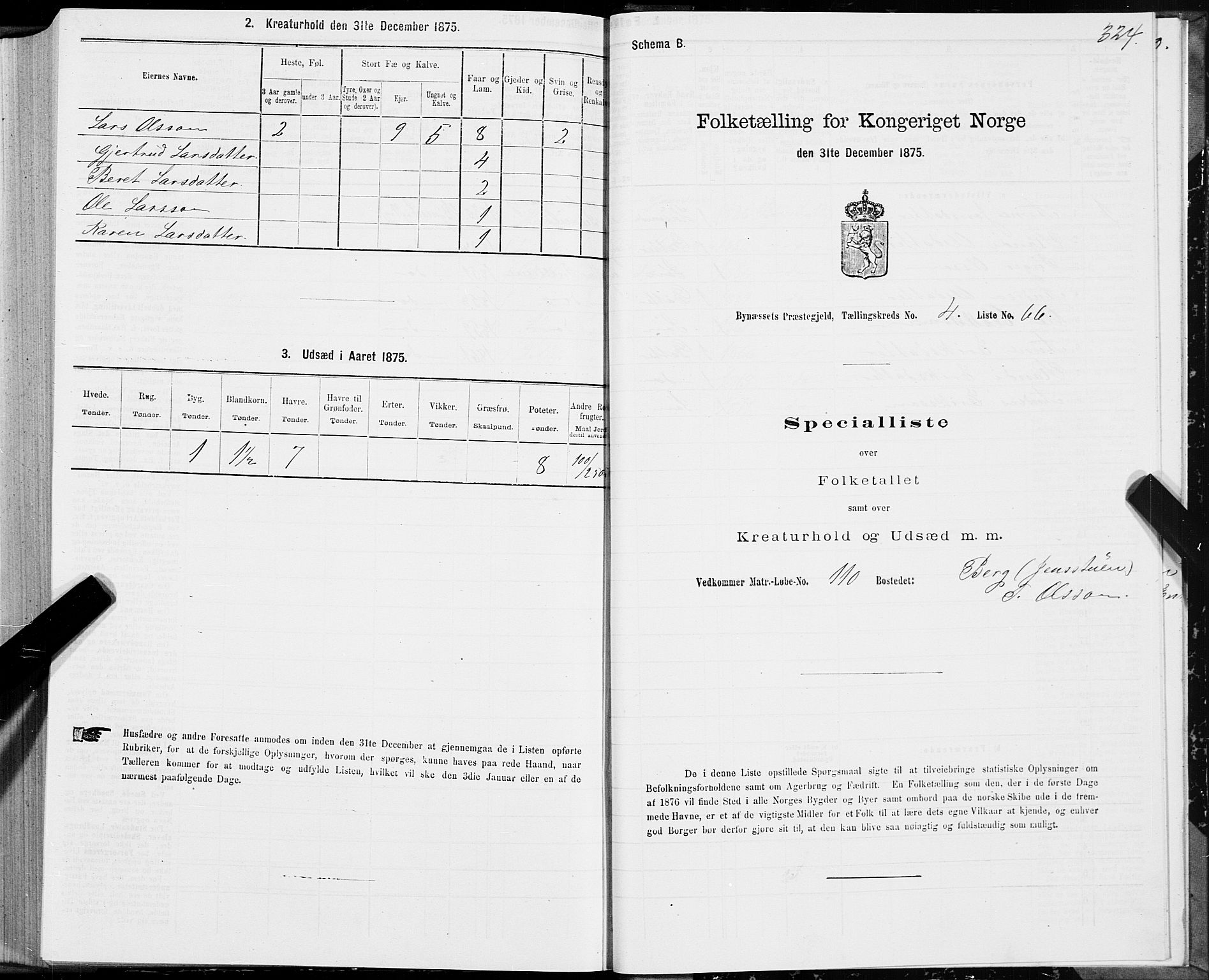 SAT, 1875 census for 1655P Byneset, 1875, p. 2324