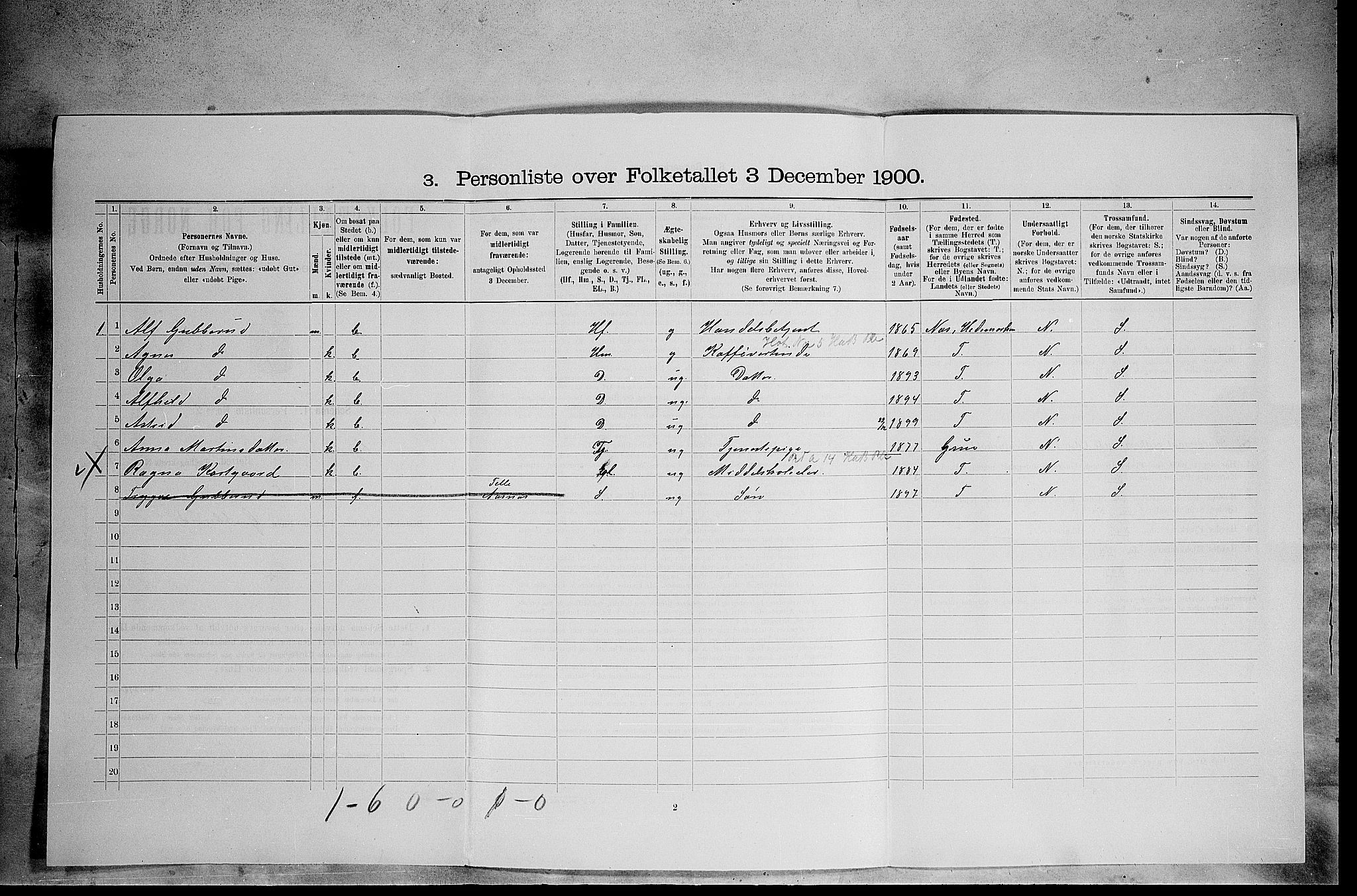 SAH, 1900 census for Åsnes, 1900, p. 667