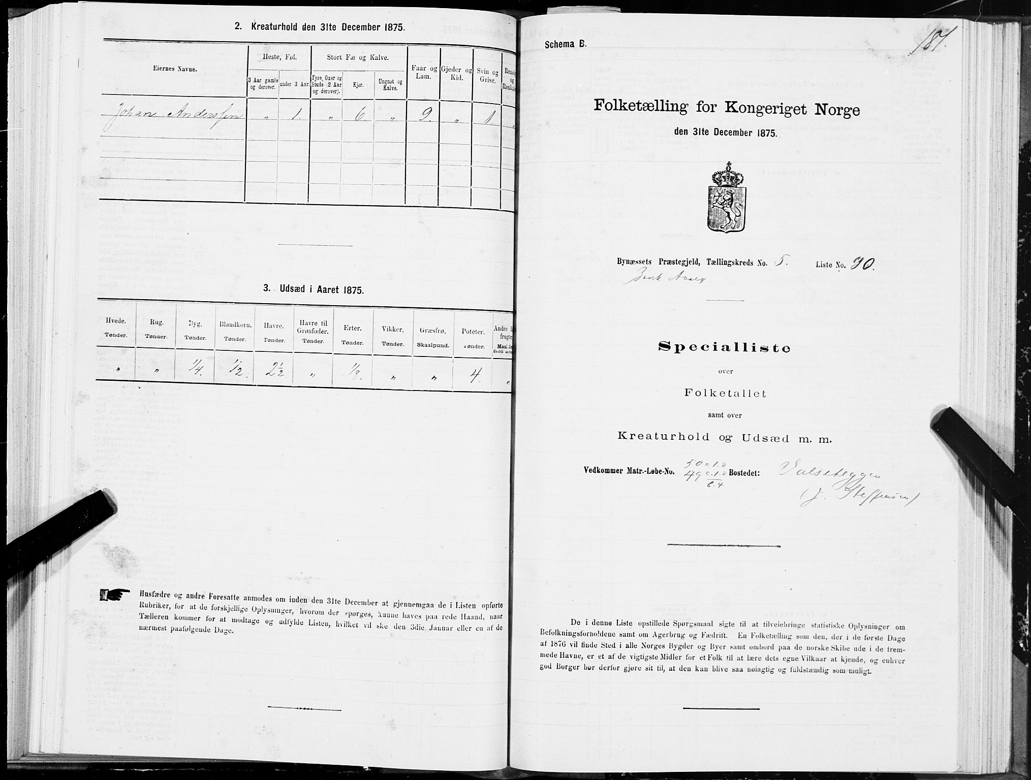 SAT, 1875 census for 1655P Byneset, 1875, p. 3181