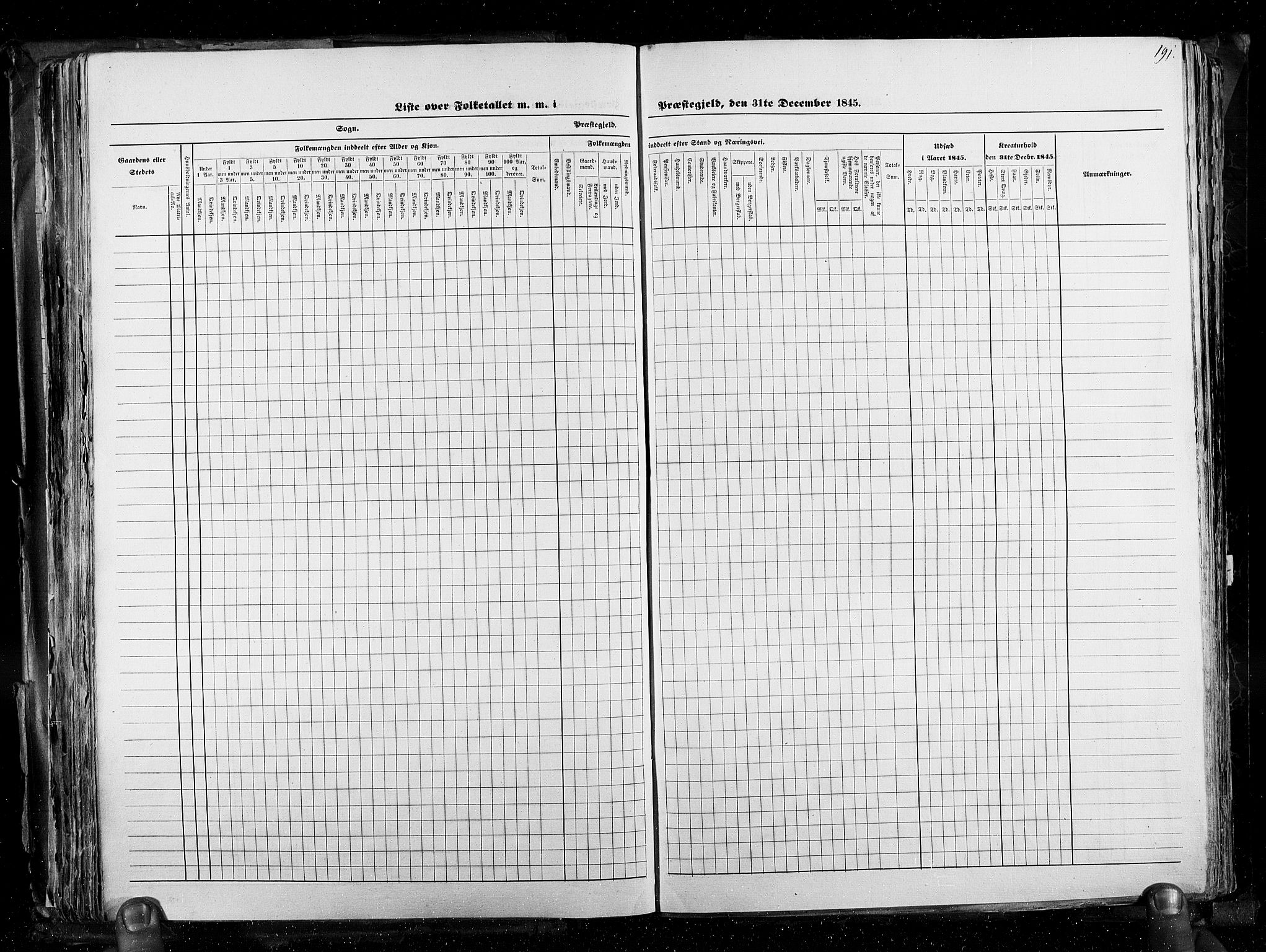 RA, Census 1845, vol. 3: Hedemarken amt og Kristians amt, 1845, p. 191