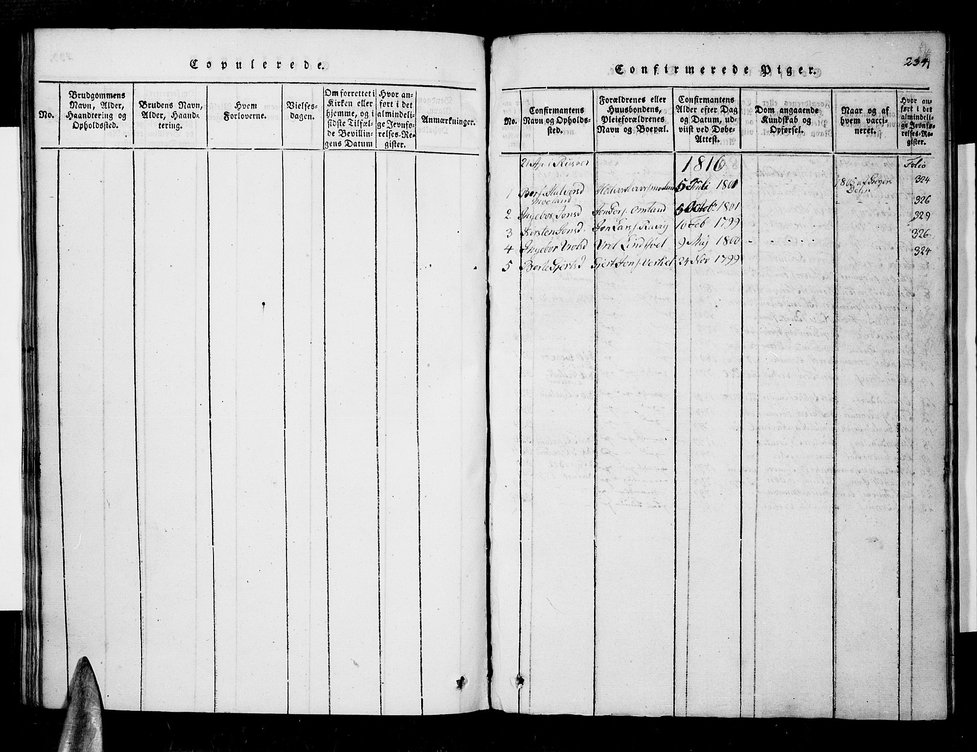 Søndeled sokneprestkontor, SAK/1111-0038/F/Fa/L0001: Parish register (official) no. A 1, 1816-1838, p. 234