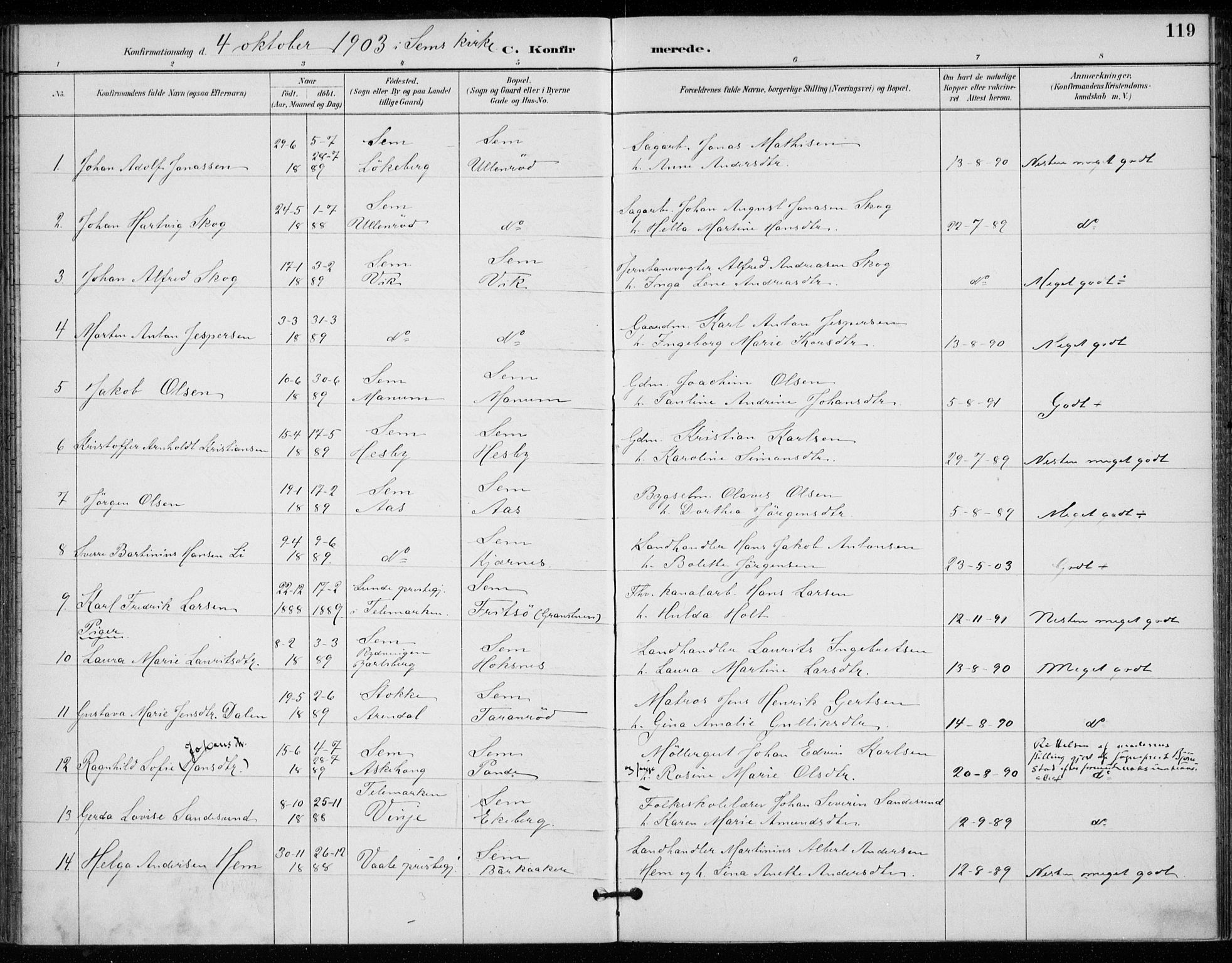 Sem kirkebøker, AV/SAKO-A-5/F/Fa/L0011: Parish register (official) no. I 11, 1888-1904, p. 119